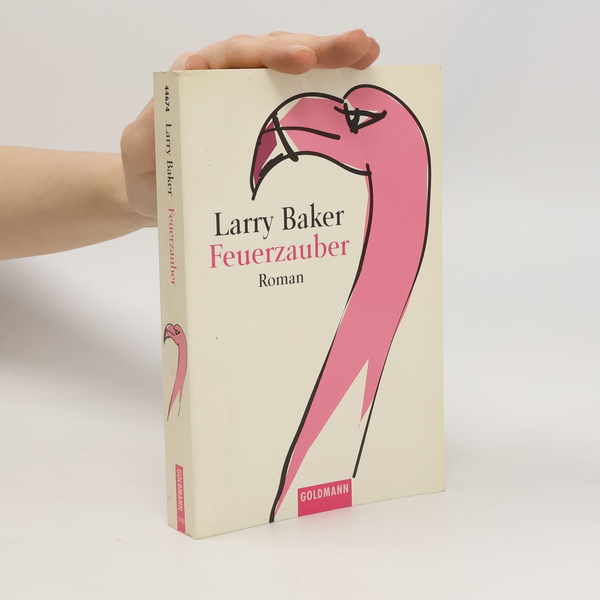 Larry Baker Feuerzauber