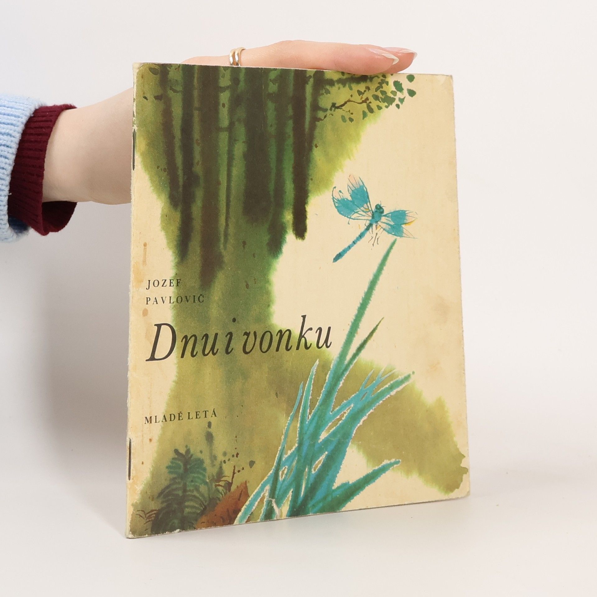 Jozef Pavlovič Dnu i vonku