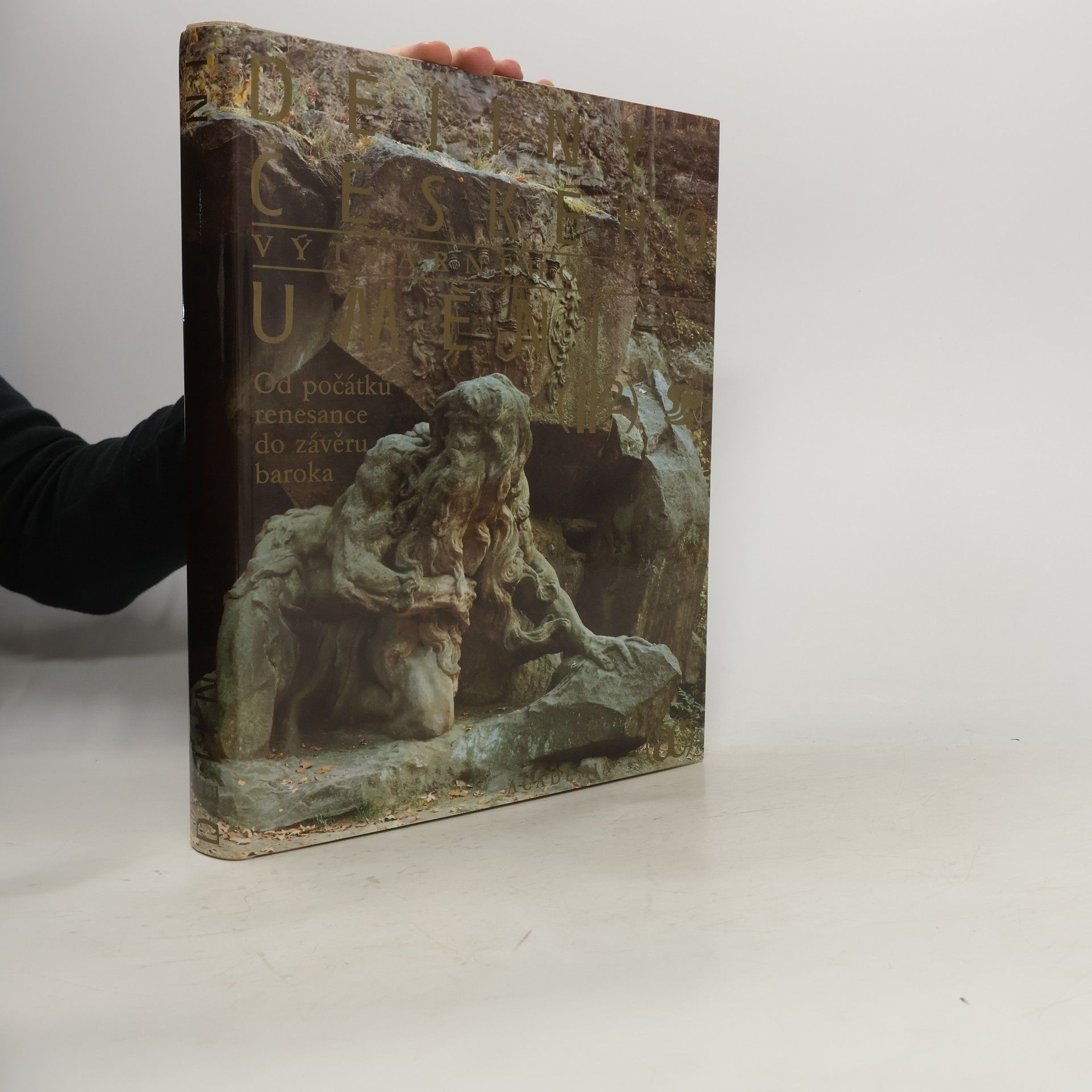 Kolektiv autorů Dějiny českého výtvarného umění II/2. Od počátku renesance do závěru baroka