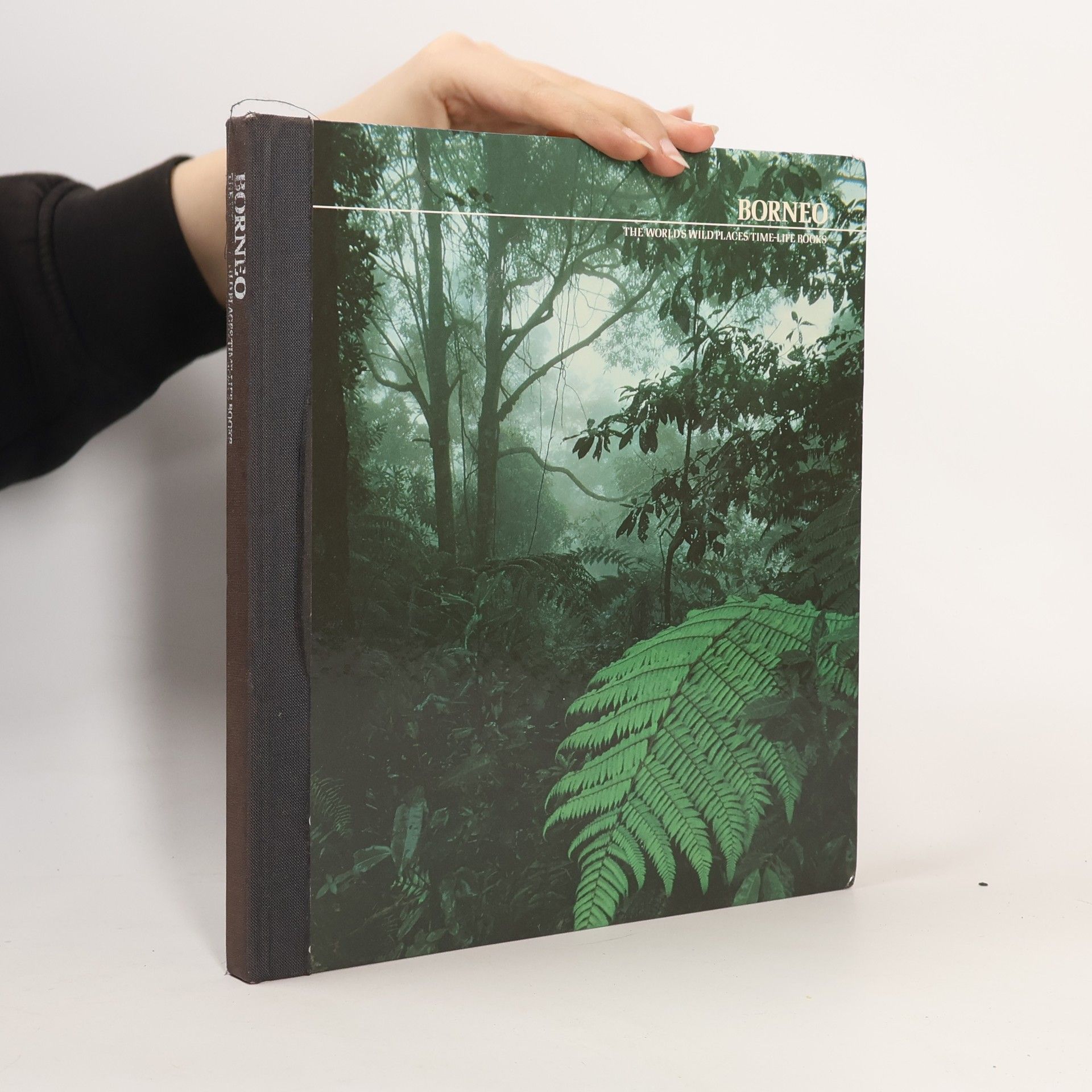 John Mackinnon Borneo