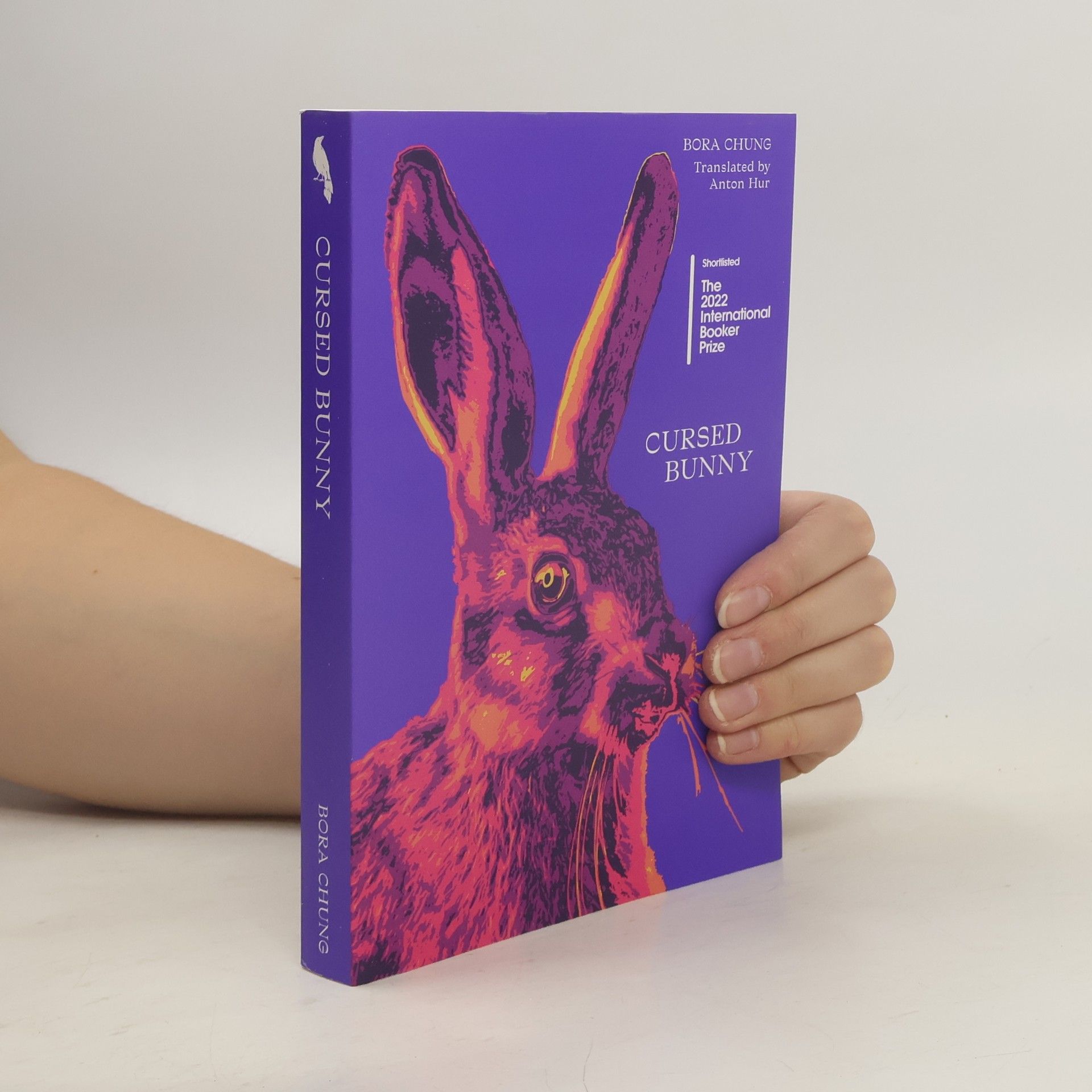 Bora Chung Cursed Bunny