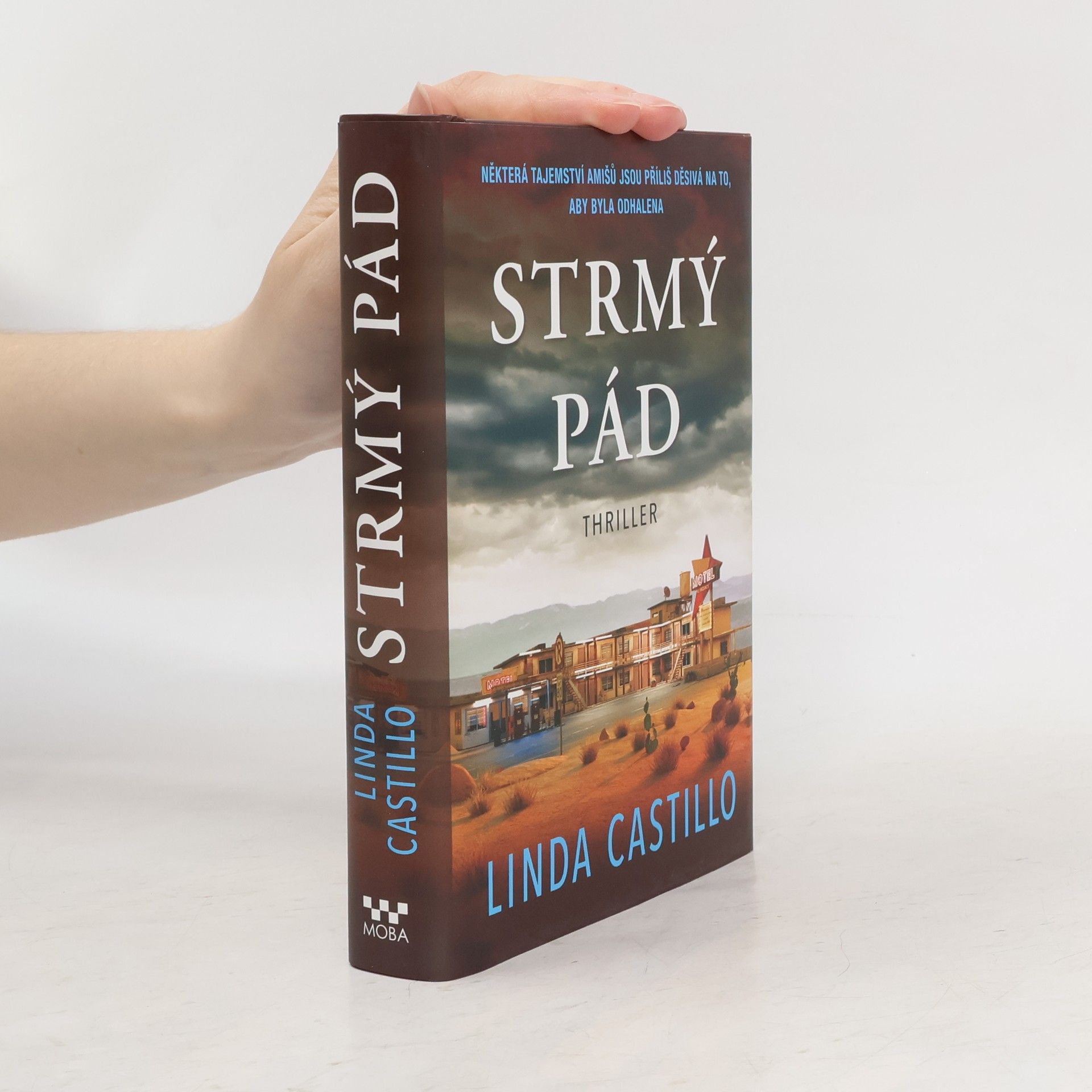 Linda Castillo Strmý pád