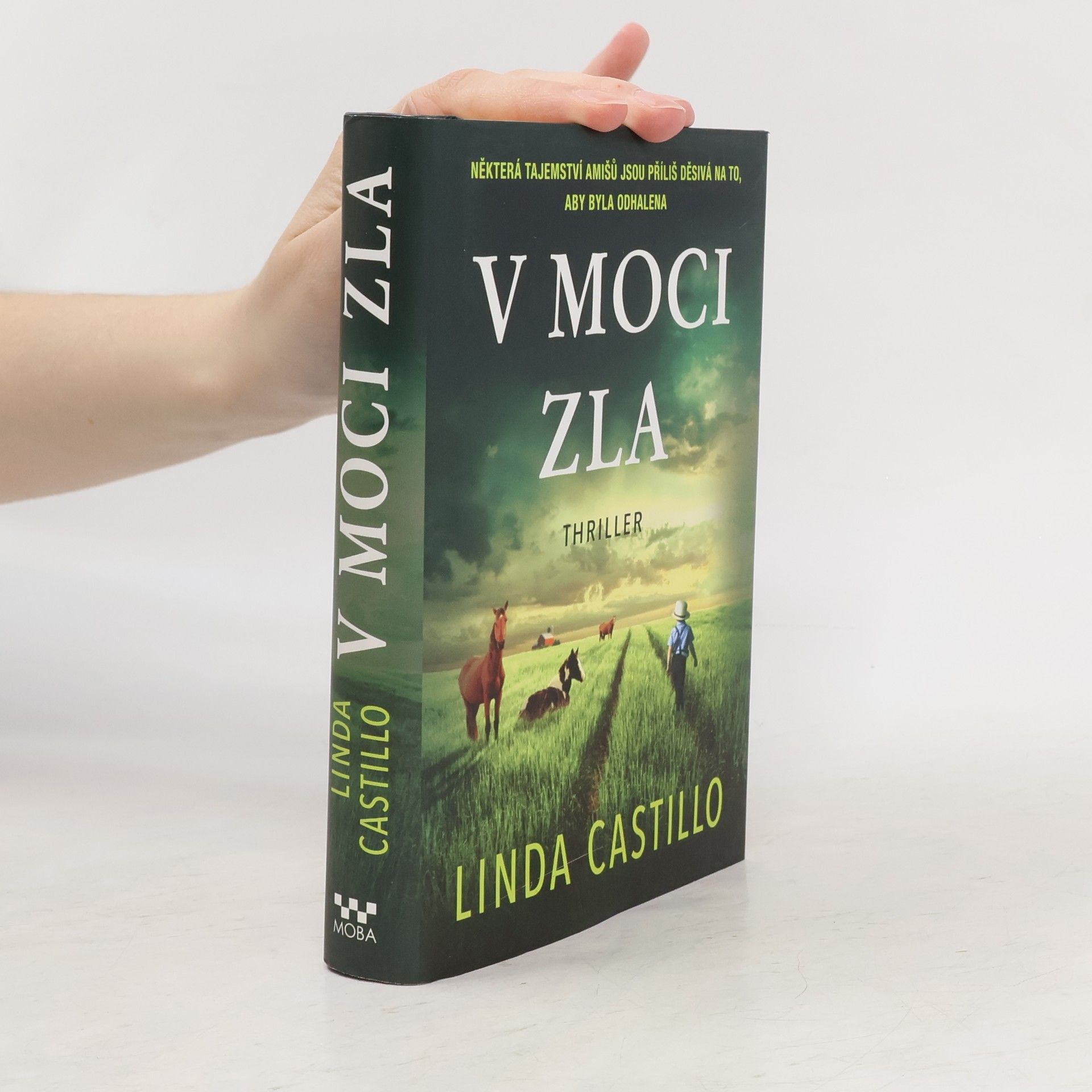 Linda Castillo V moci zla