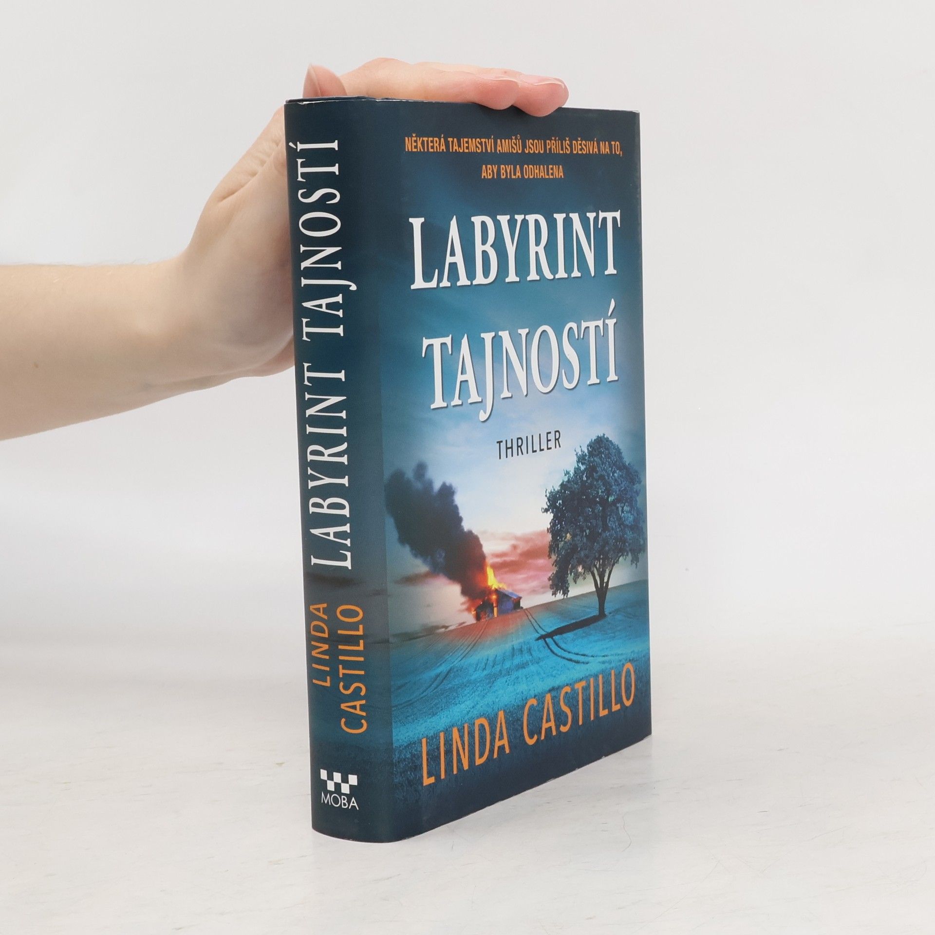 Linda Castillo Labyrint tajností