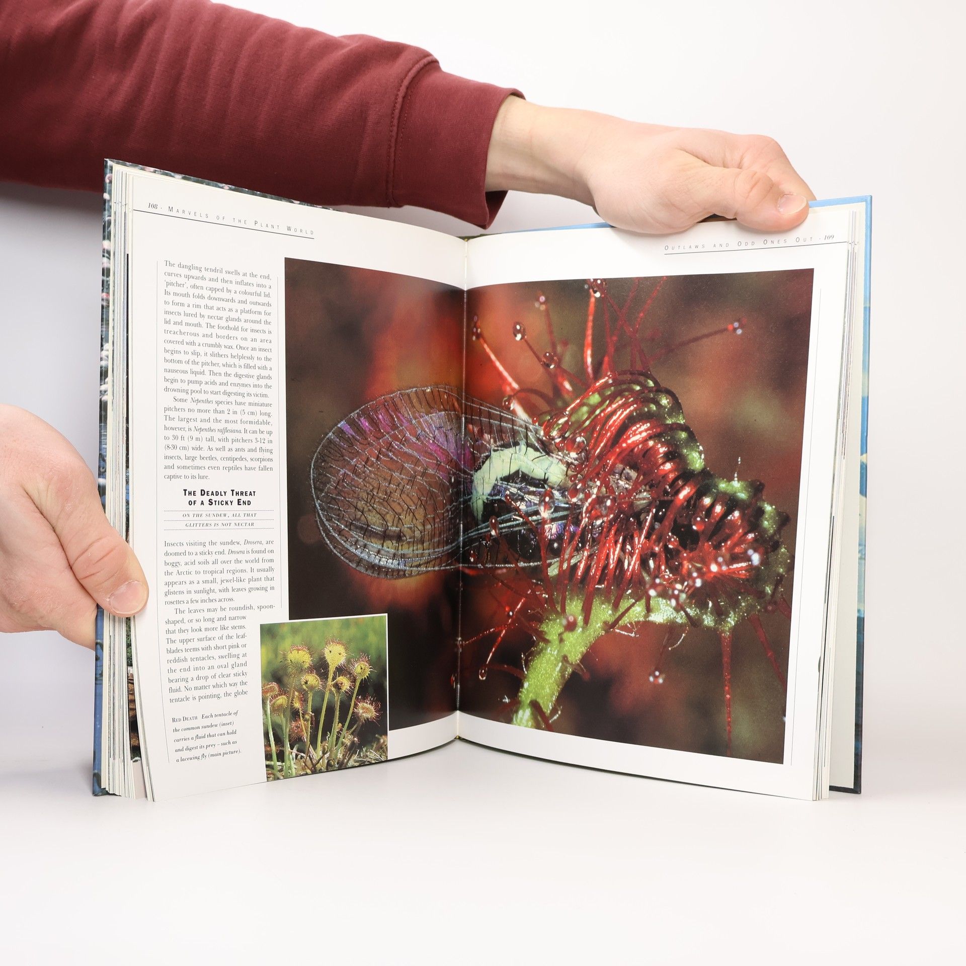 Steve Cox The Earth, Its Wonders, Its Secrets: Nature's Masterpieces