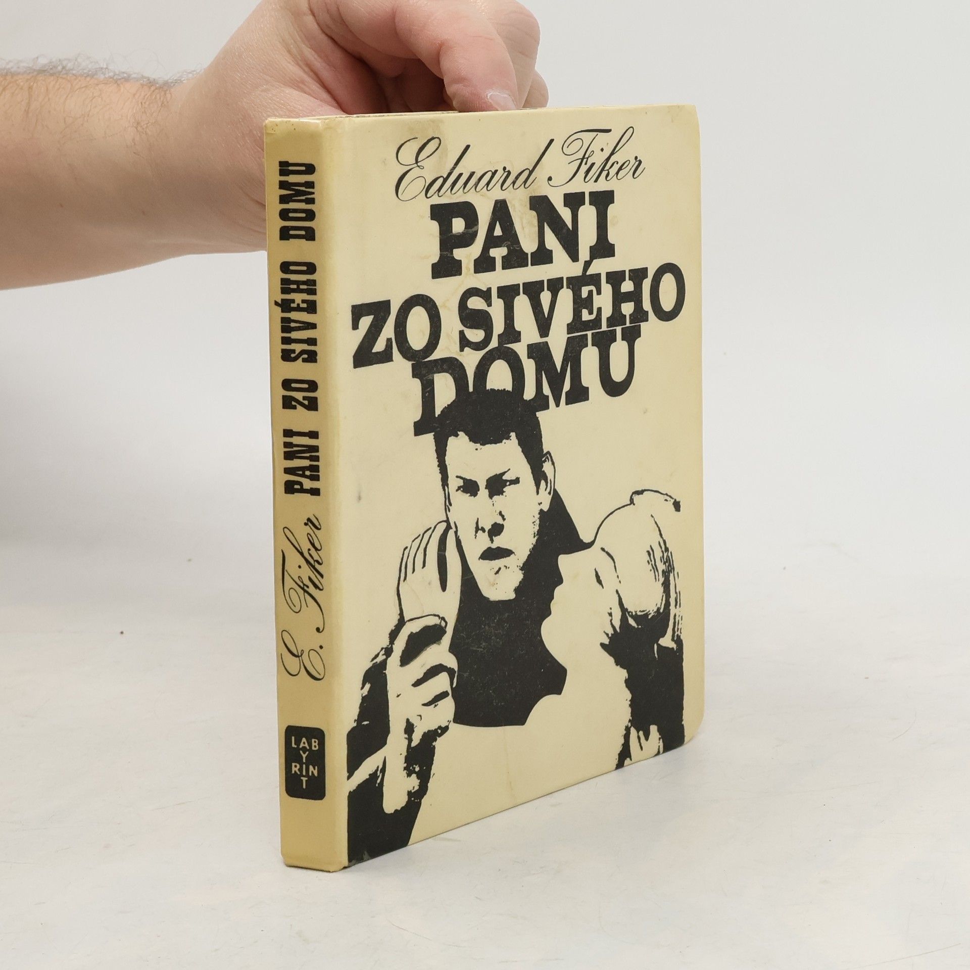 Eduard Fiker Pani zo sivého domu