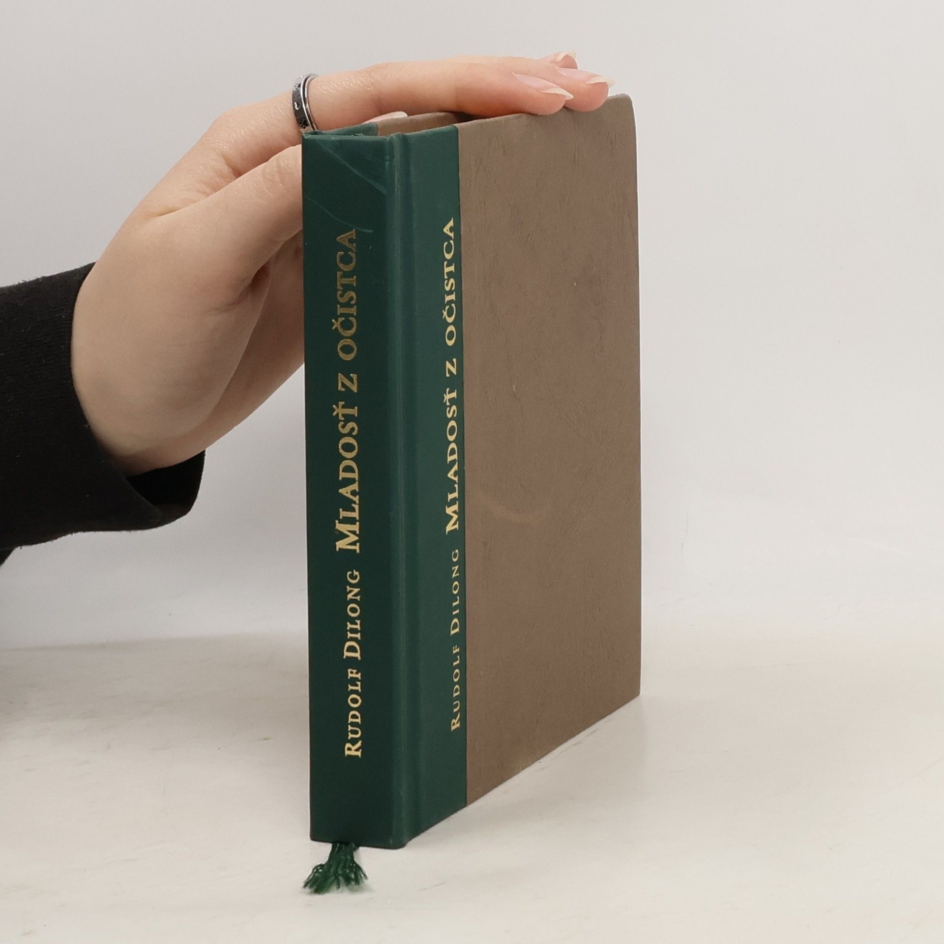 Rudolf Dilong Mladosť z očistca