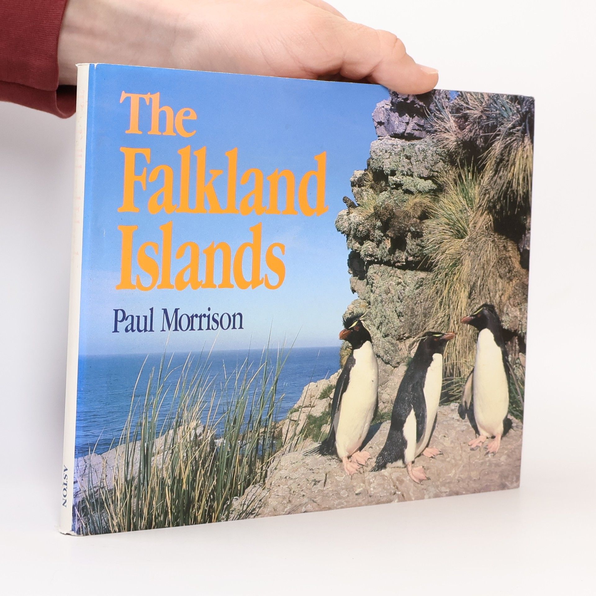 The Falkland Islands