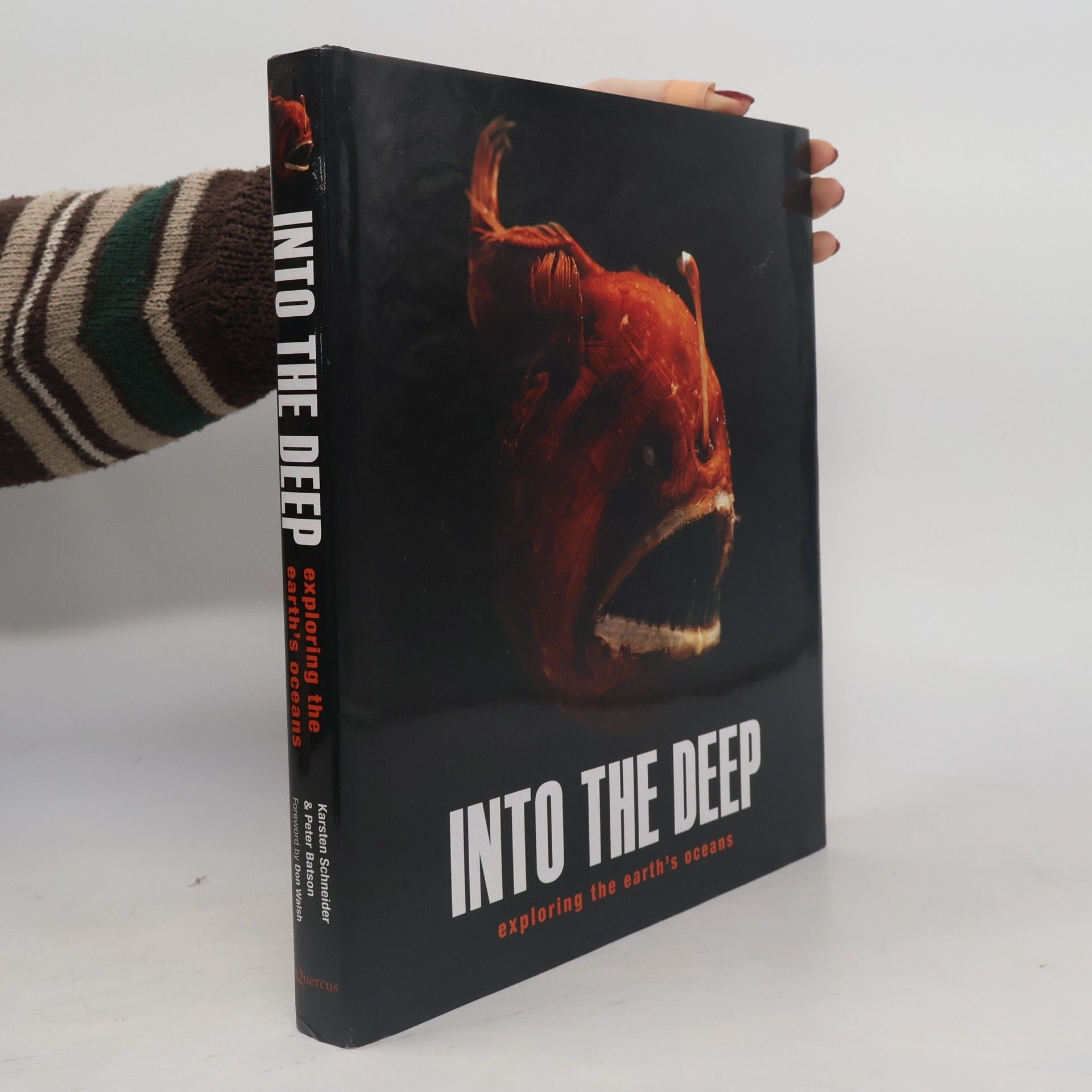 Karsten Schneider Into the Deep