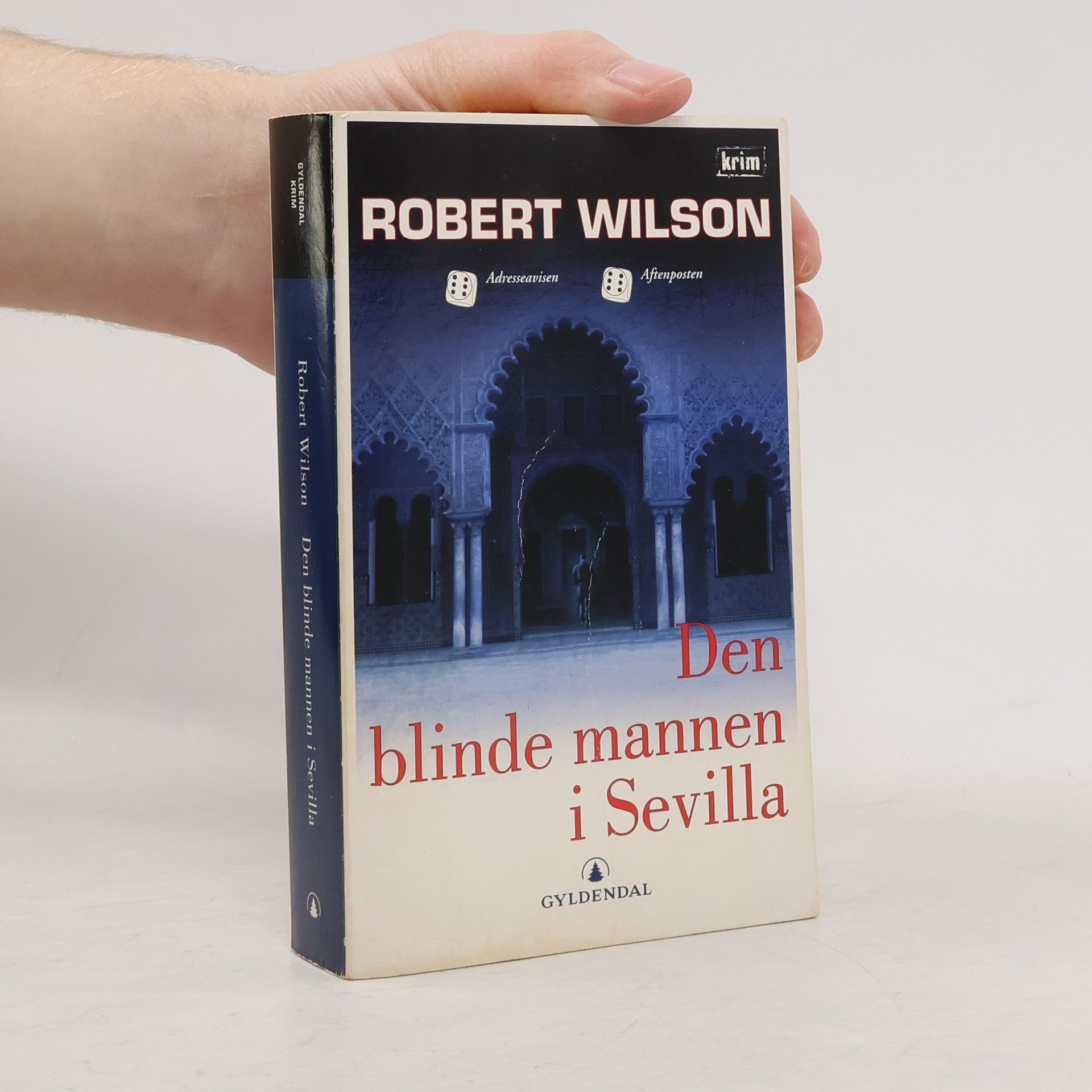 Robert Wilson Den blinde mannen i Sevilla - Norwegian Edition