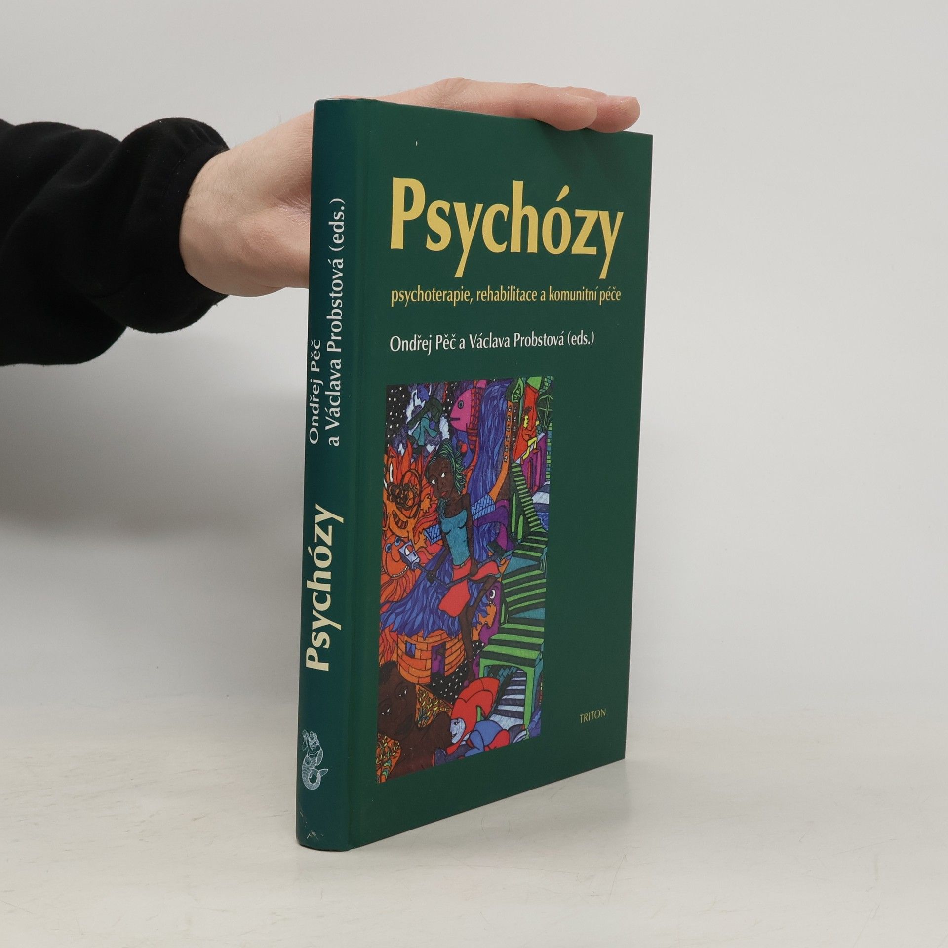 Psychózy - Psychoterapie, rehabilitace a komunitní péče