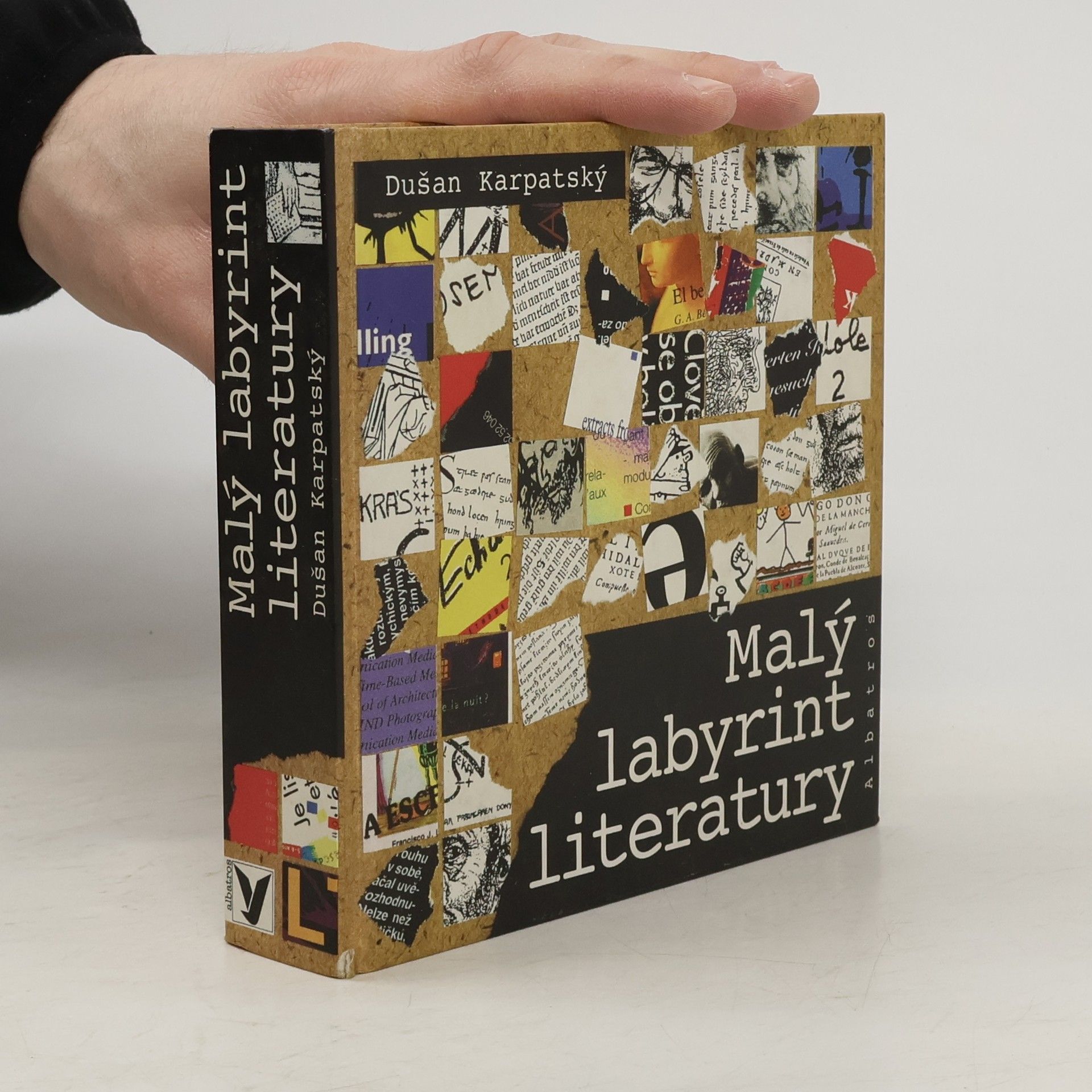 Dušan Karpatský Malý labyrint literatury