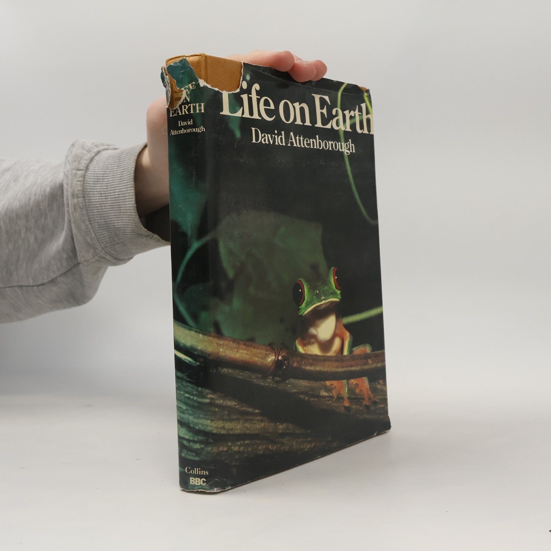 David Attenborough Life on Earth