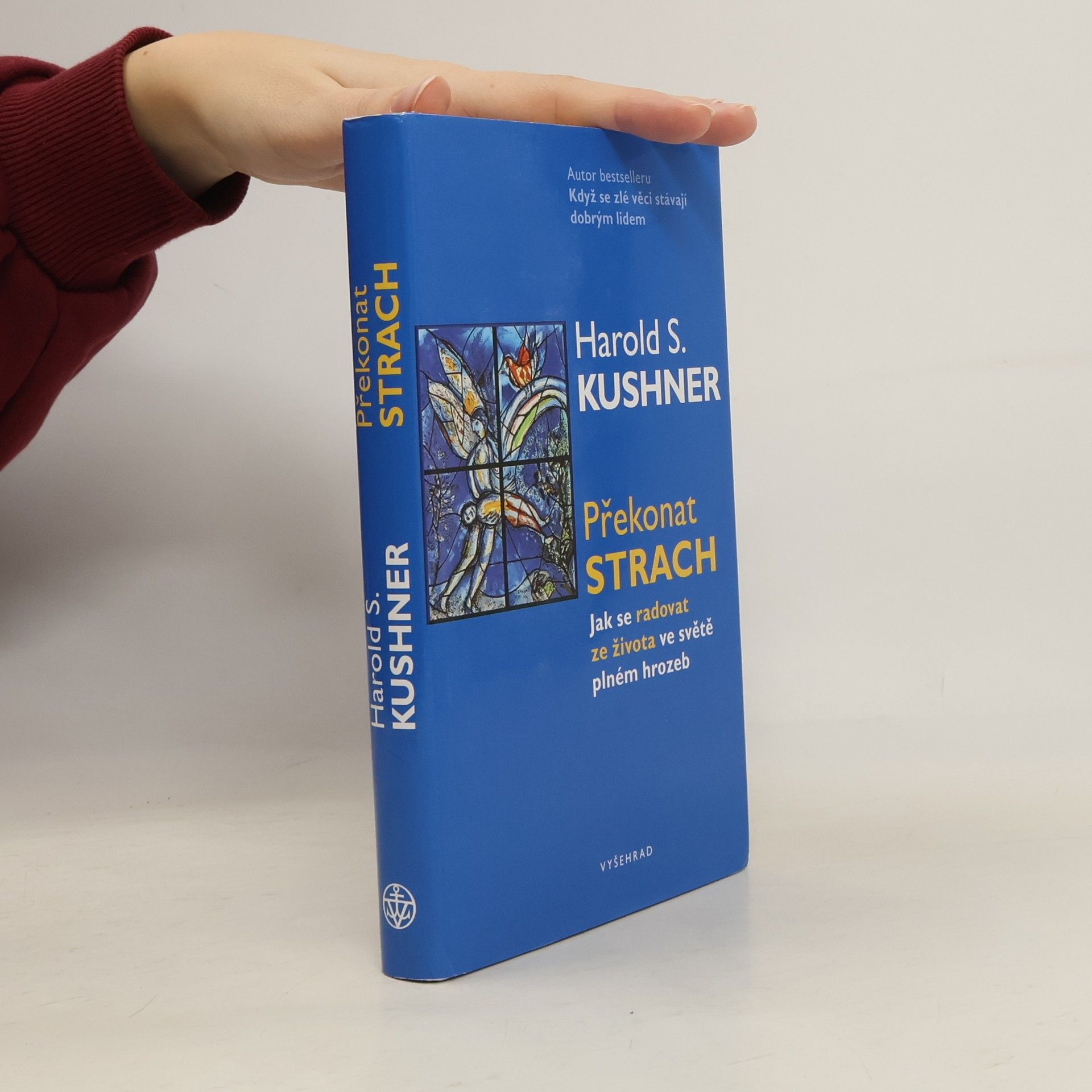 Harold Kushner Překonat strach