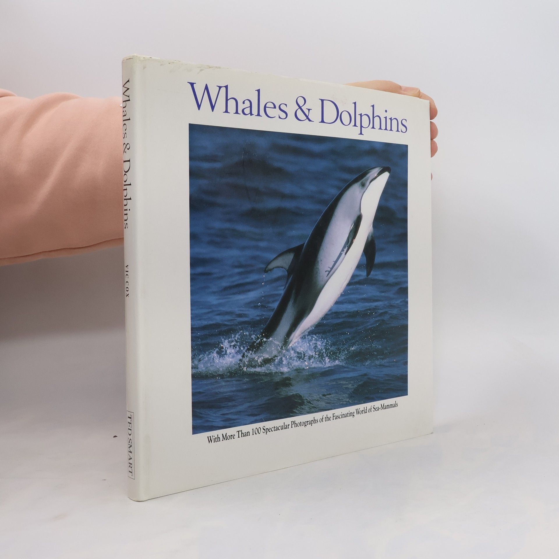 Kolektiv autorů Whales & Dolphins