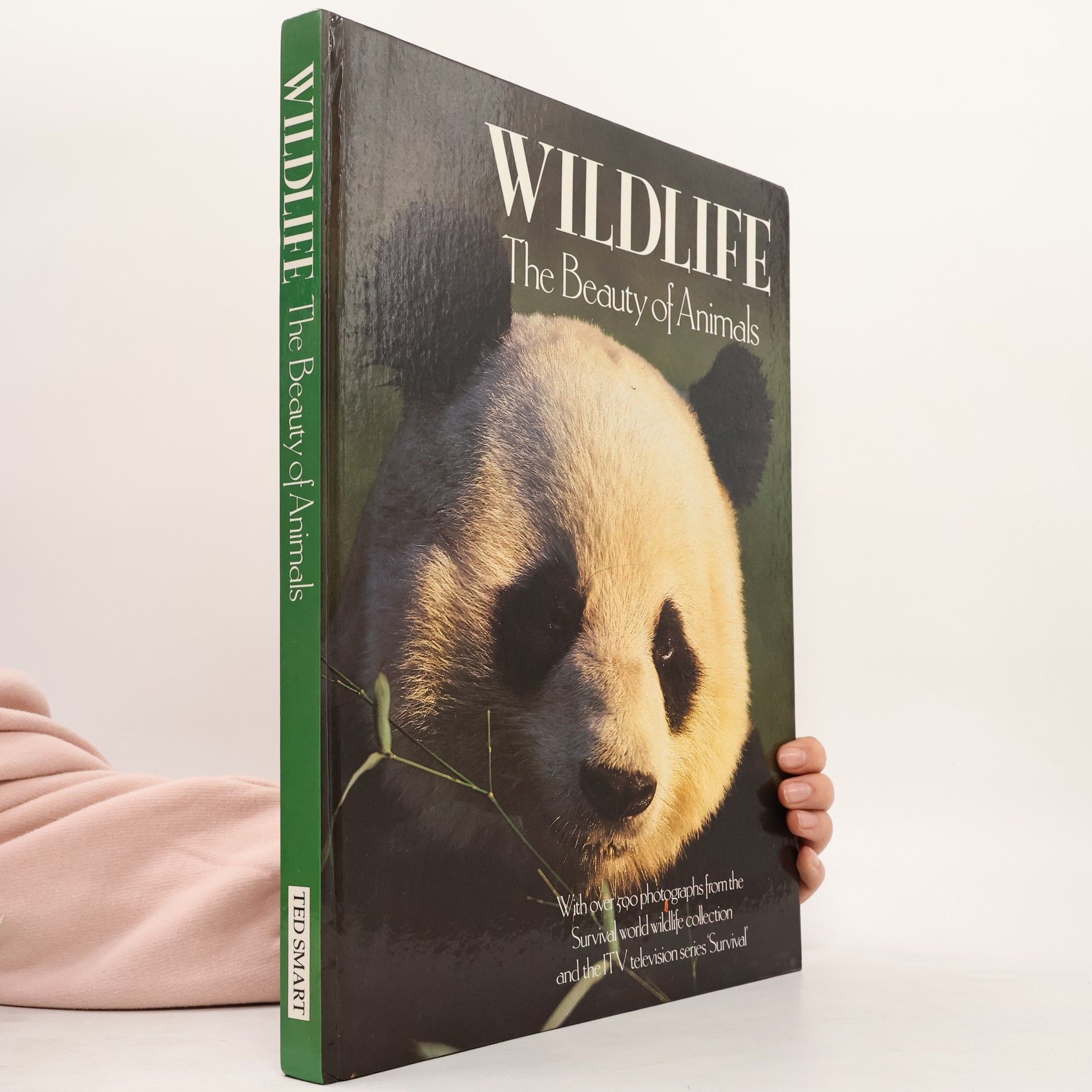 Ted Smart Wildlife The Beauty Of Animals