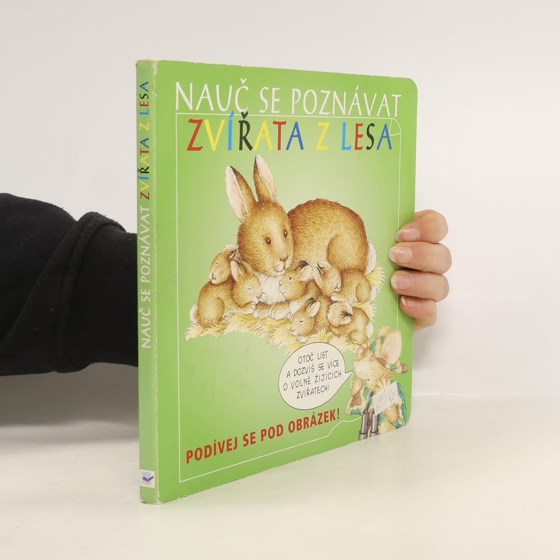 Autorenkollektiv Nauč se poznávat zvířata z lesa