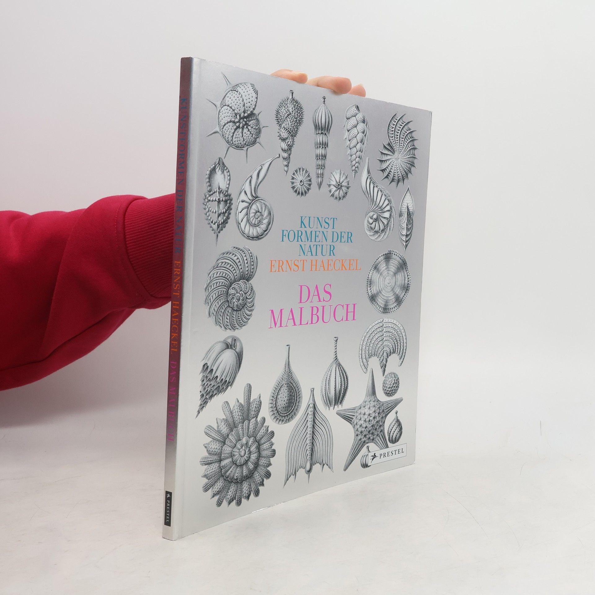 Ernst Haeckel Kunstformen der Natur