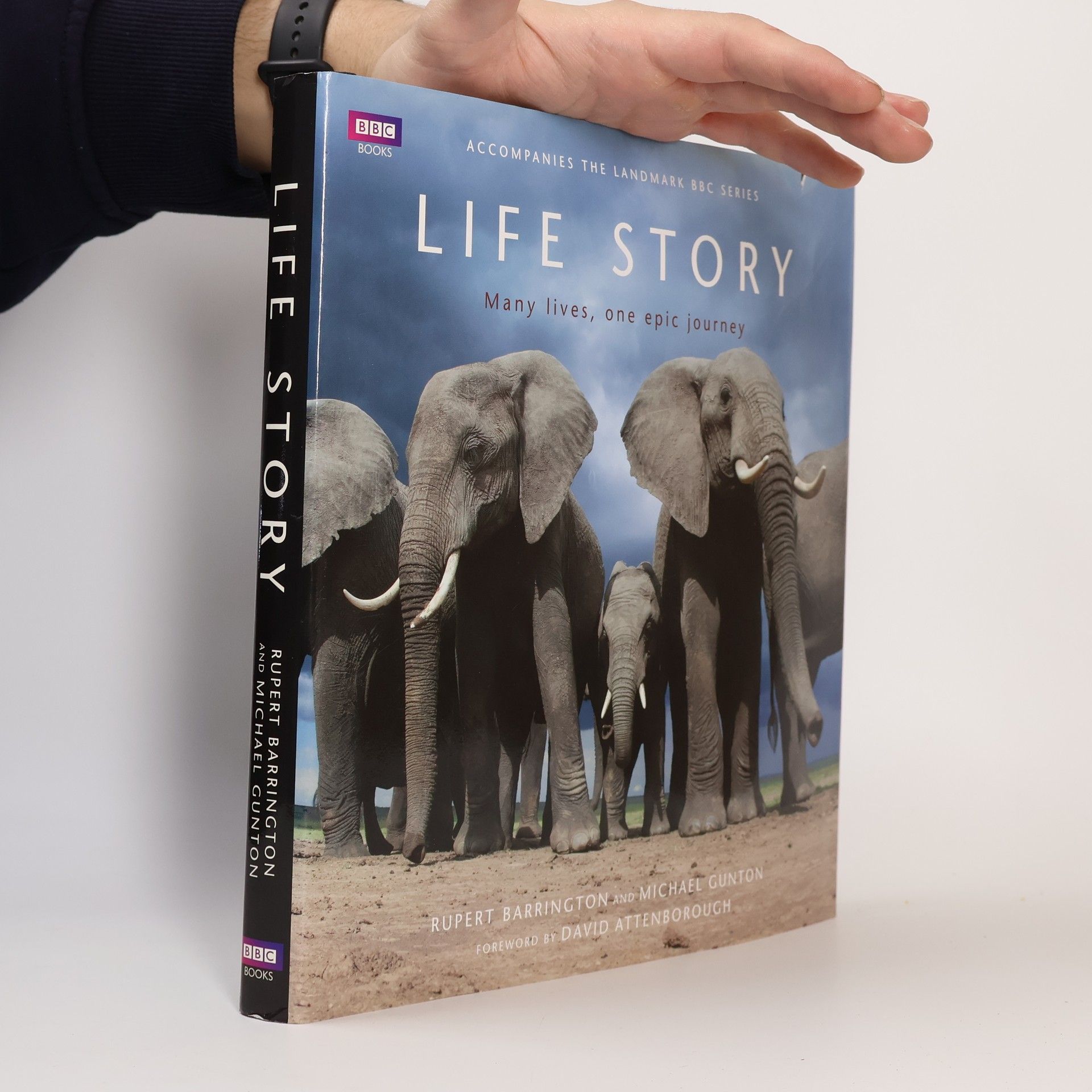 Mike Gunton Life Story