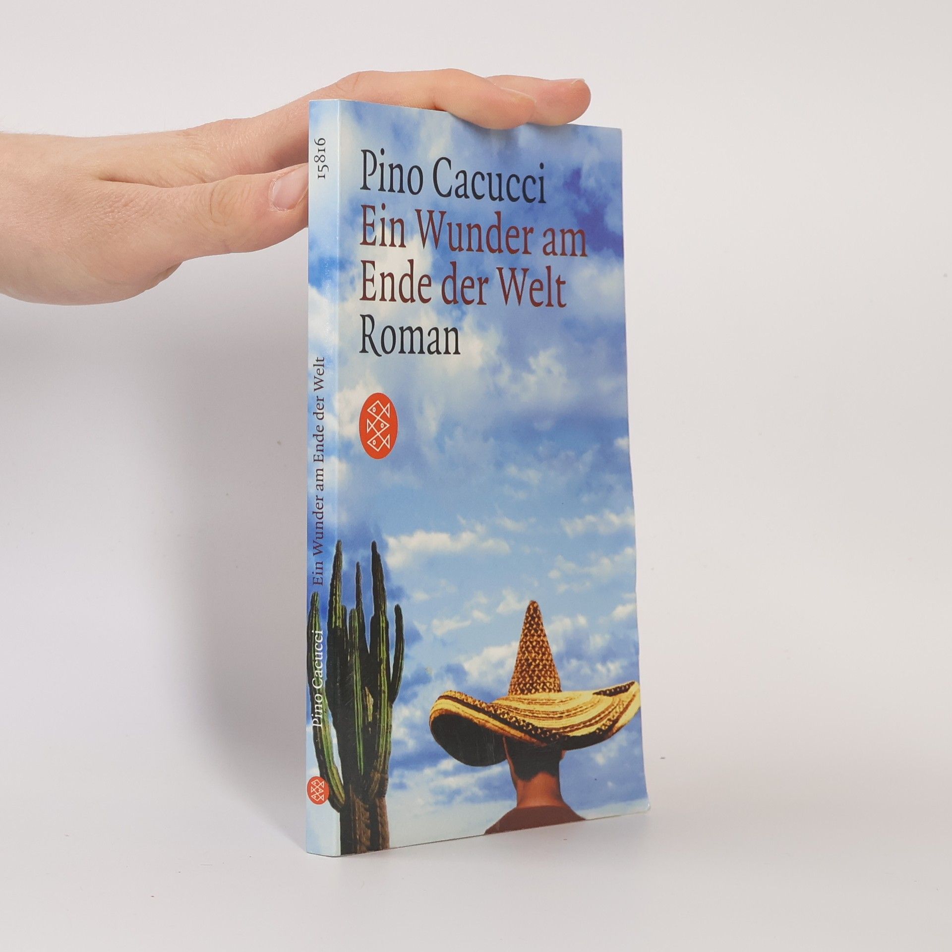 Pino Cacucci Ein Wunder am Ende der Welt