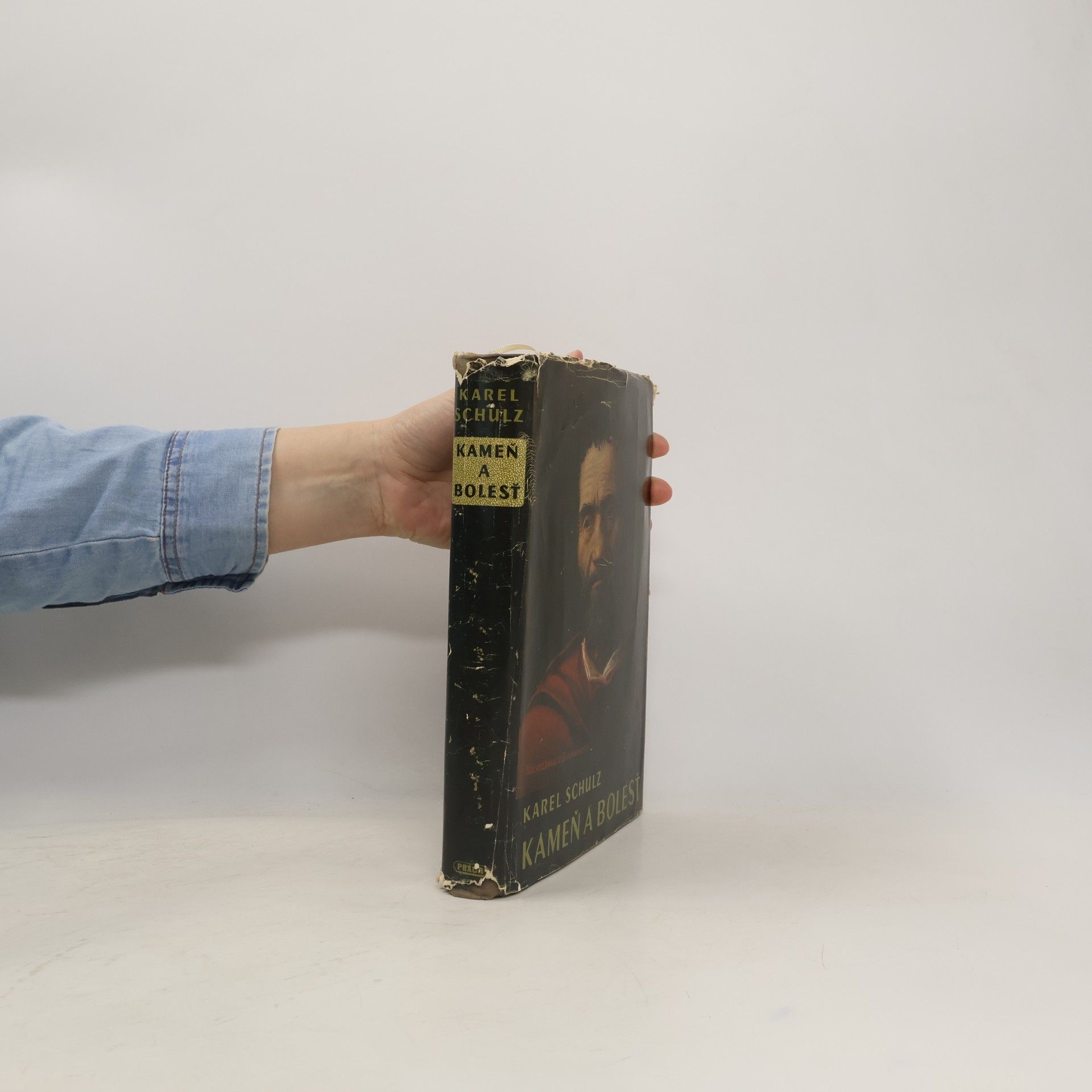 Karel Schulz Kameň a bolesť