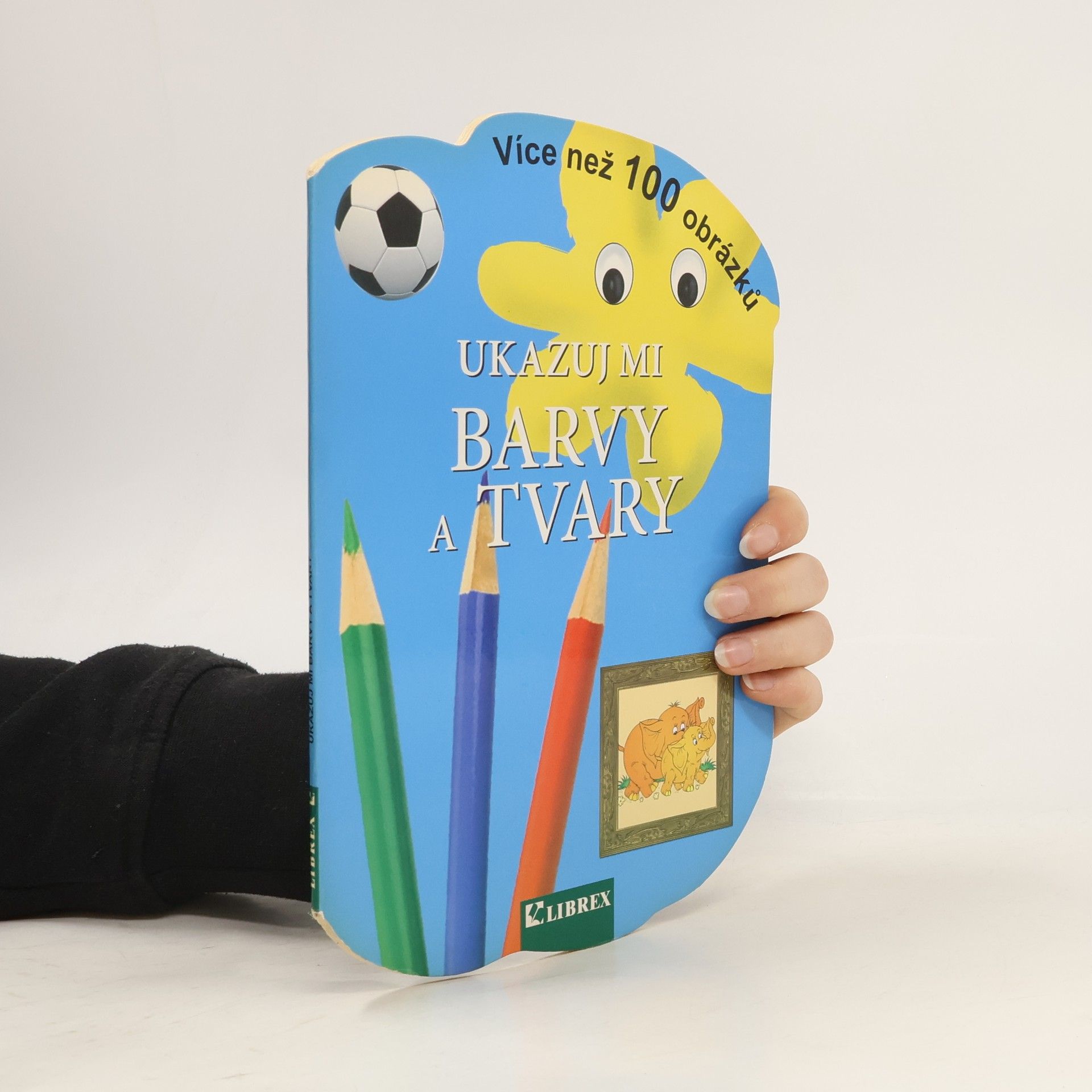 Kolektiv autorů Ukazuj mi barvy a tvary