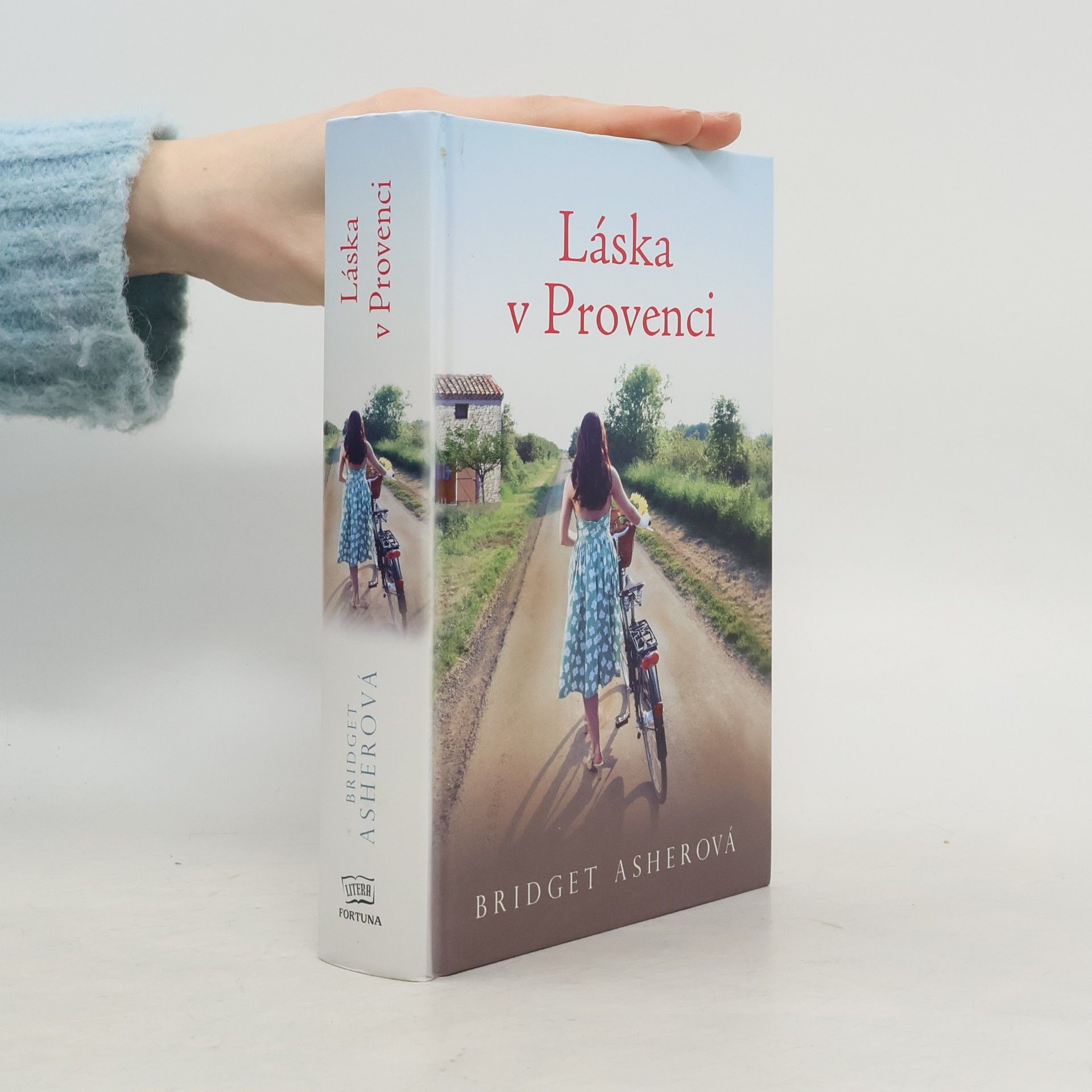 Bridget Asher Láska v Provenci