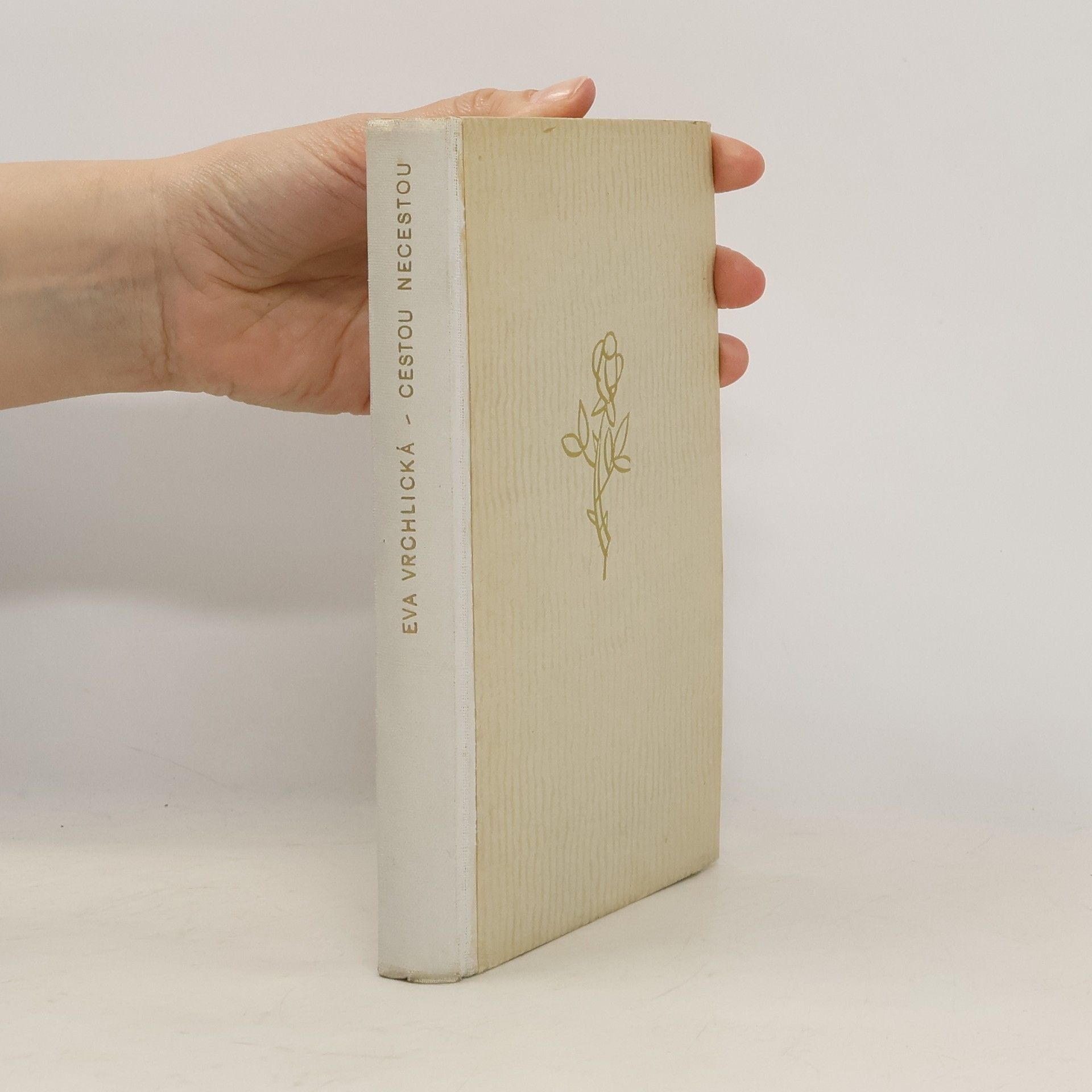 Eva Vrchlická Cestou necestou