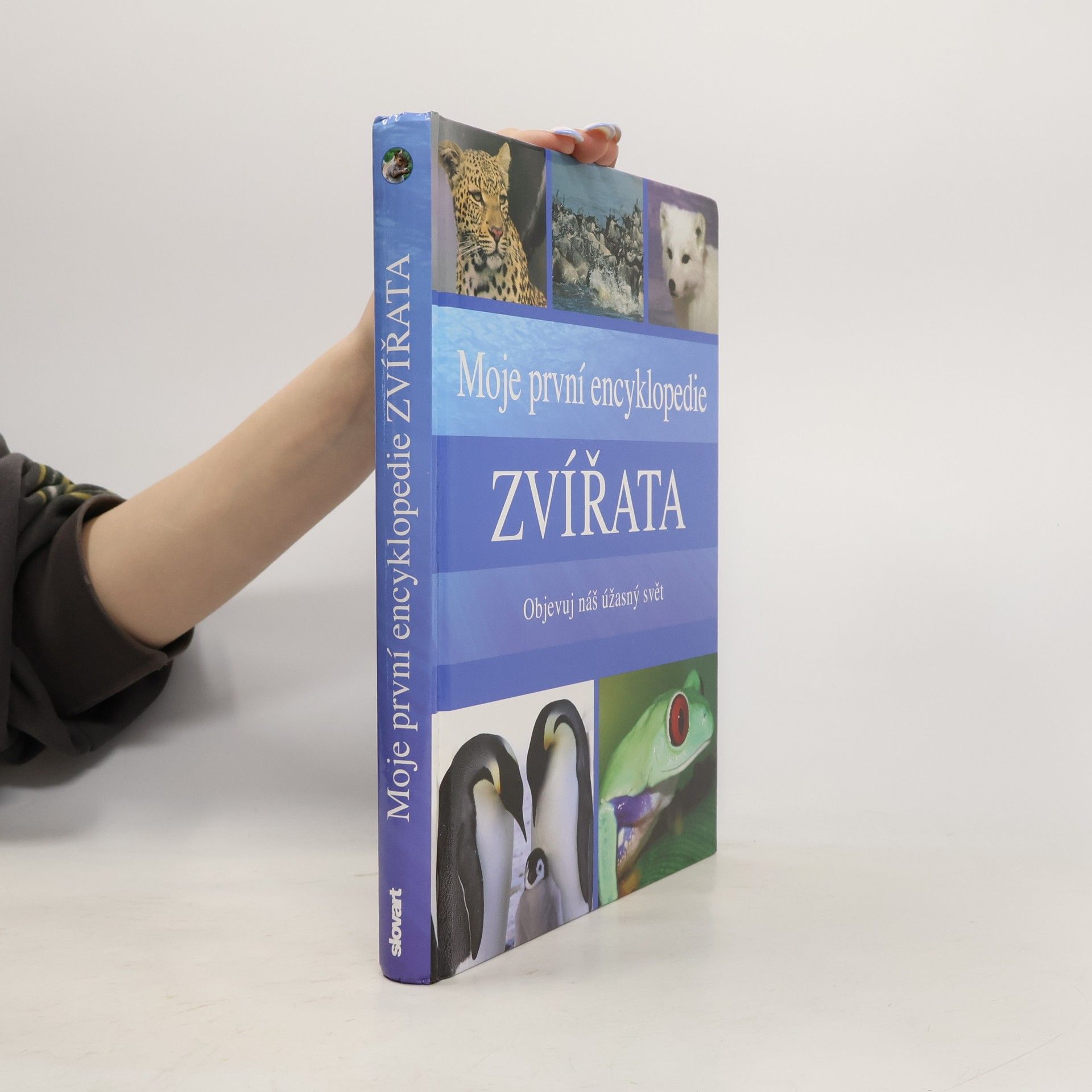 Sally Morgan Moje první encyklopedie - Zvířata: Objevuj náš úžasný svět