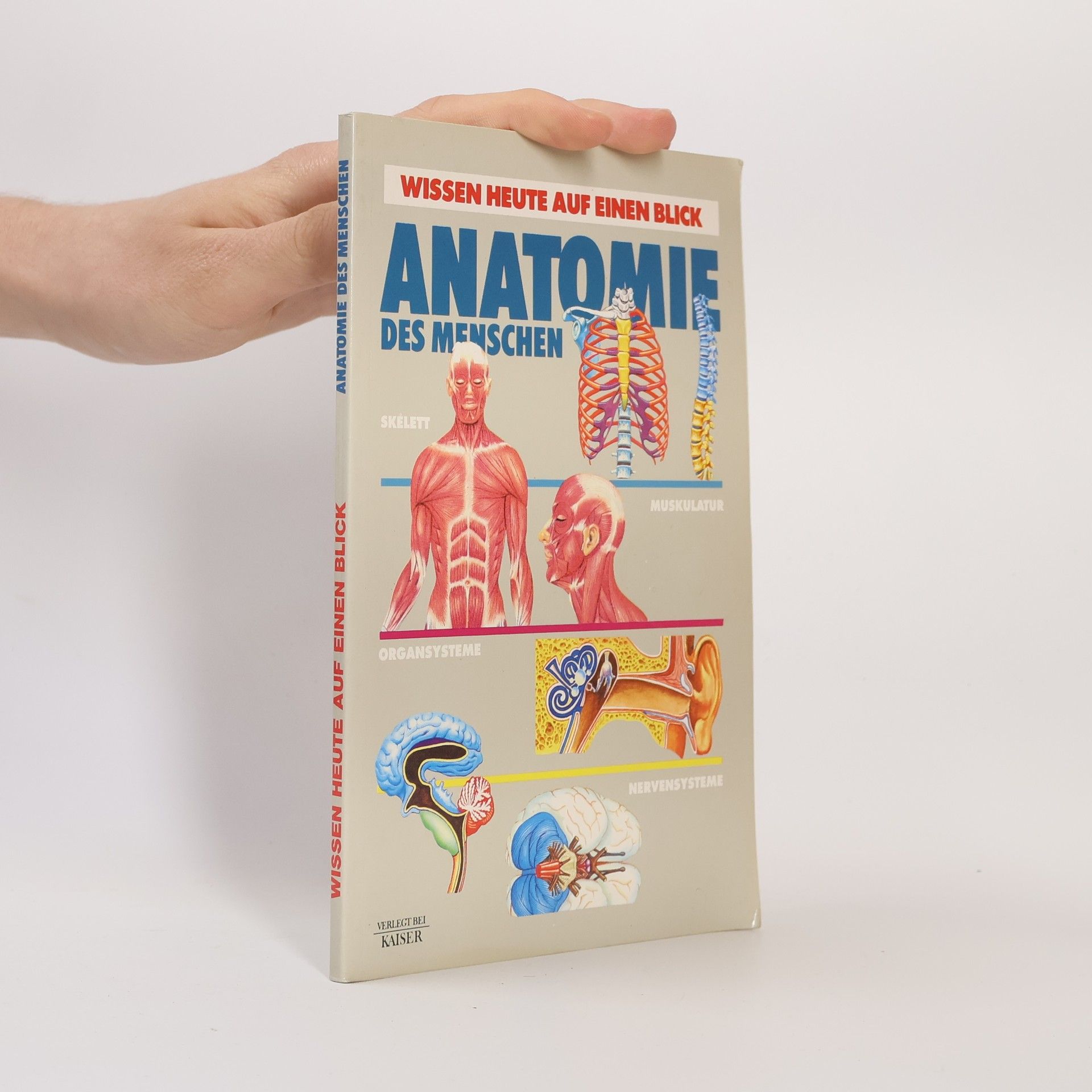 Autorenkollektiv Anatomie des menschen
