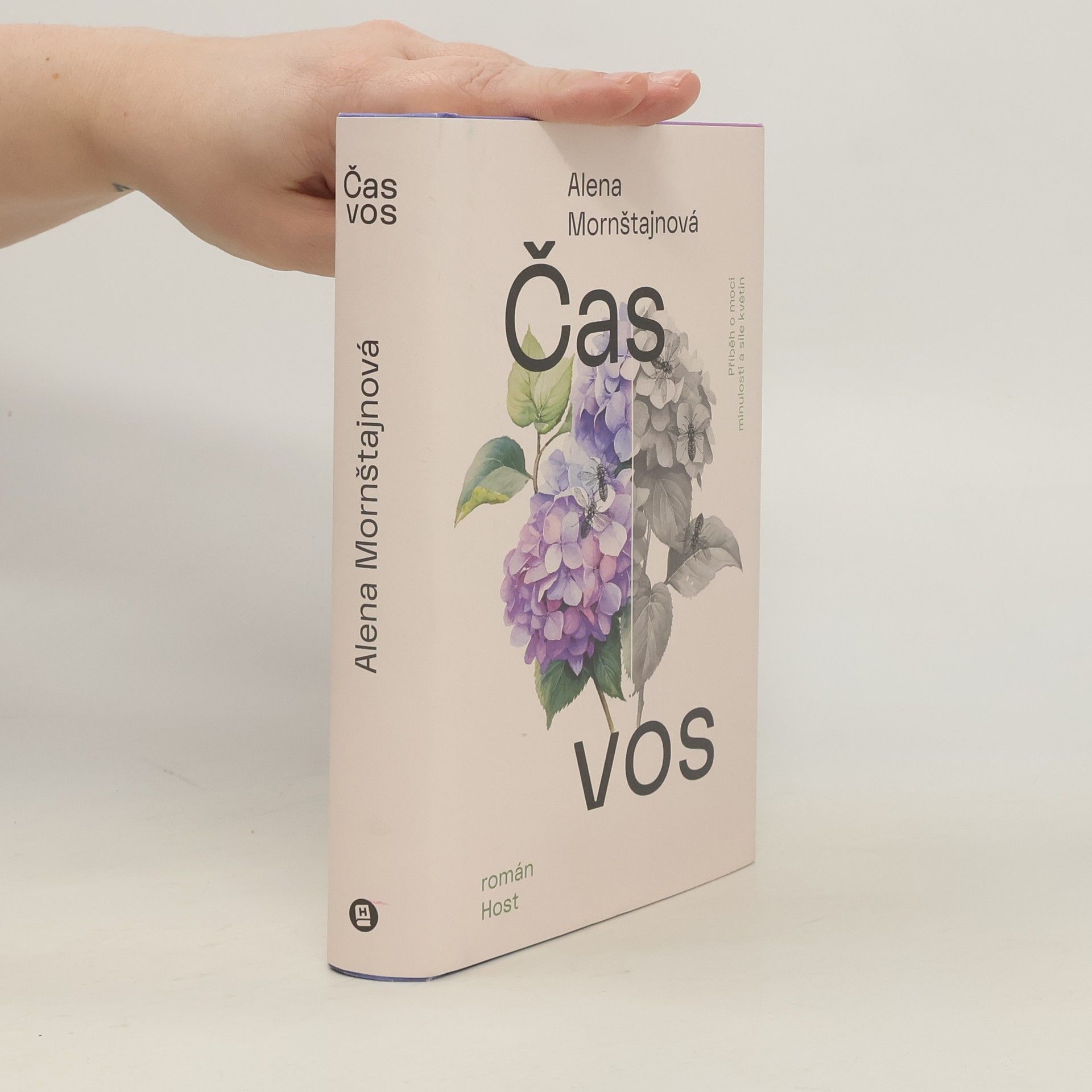 Alena Mornštajnová Čas vos