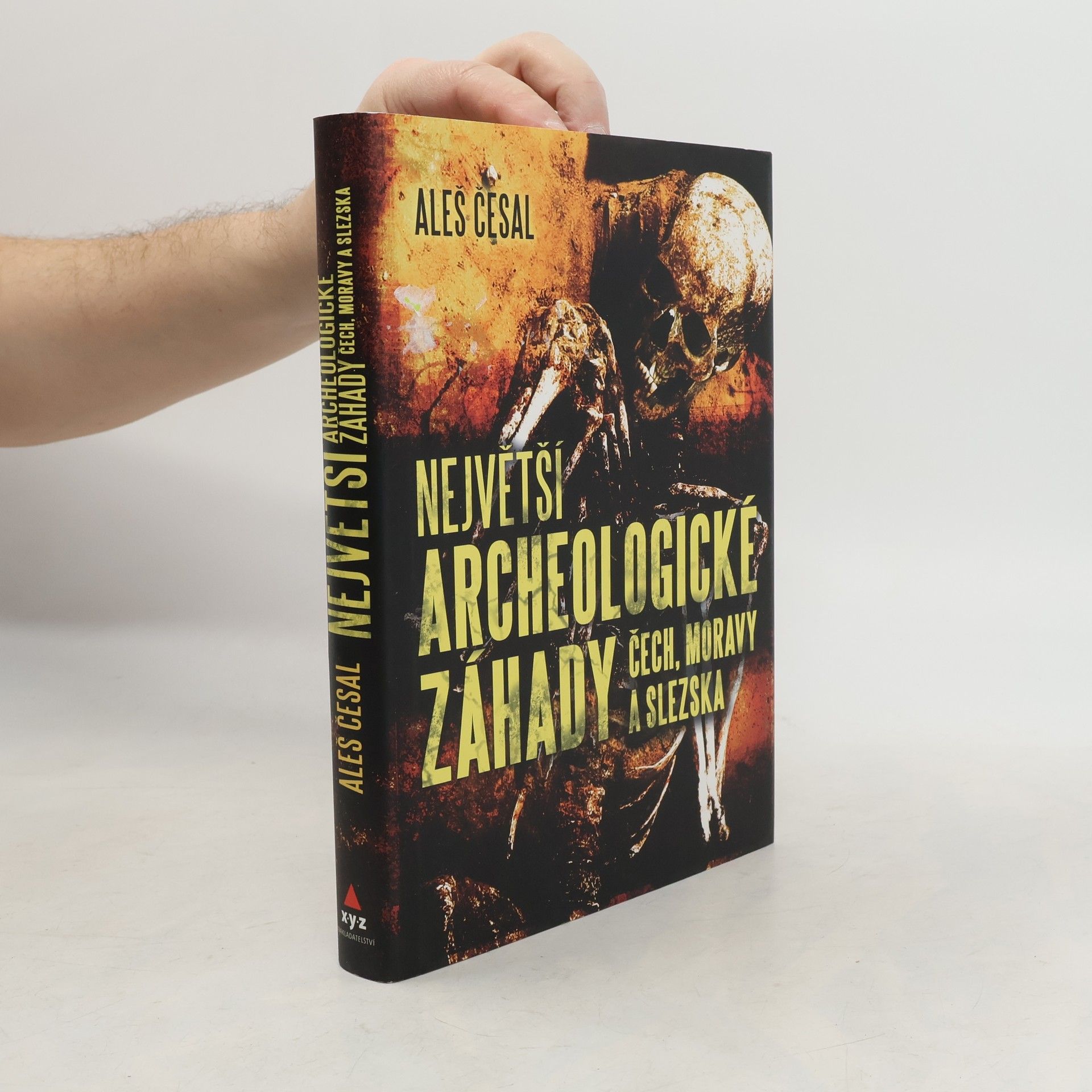 Aleš Česal Největší archeologické záhady Čech, Moravy a Slezska