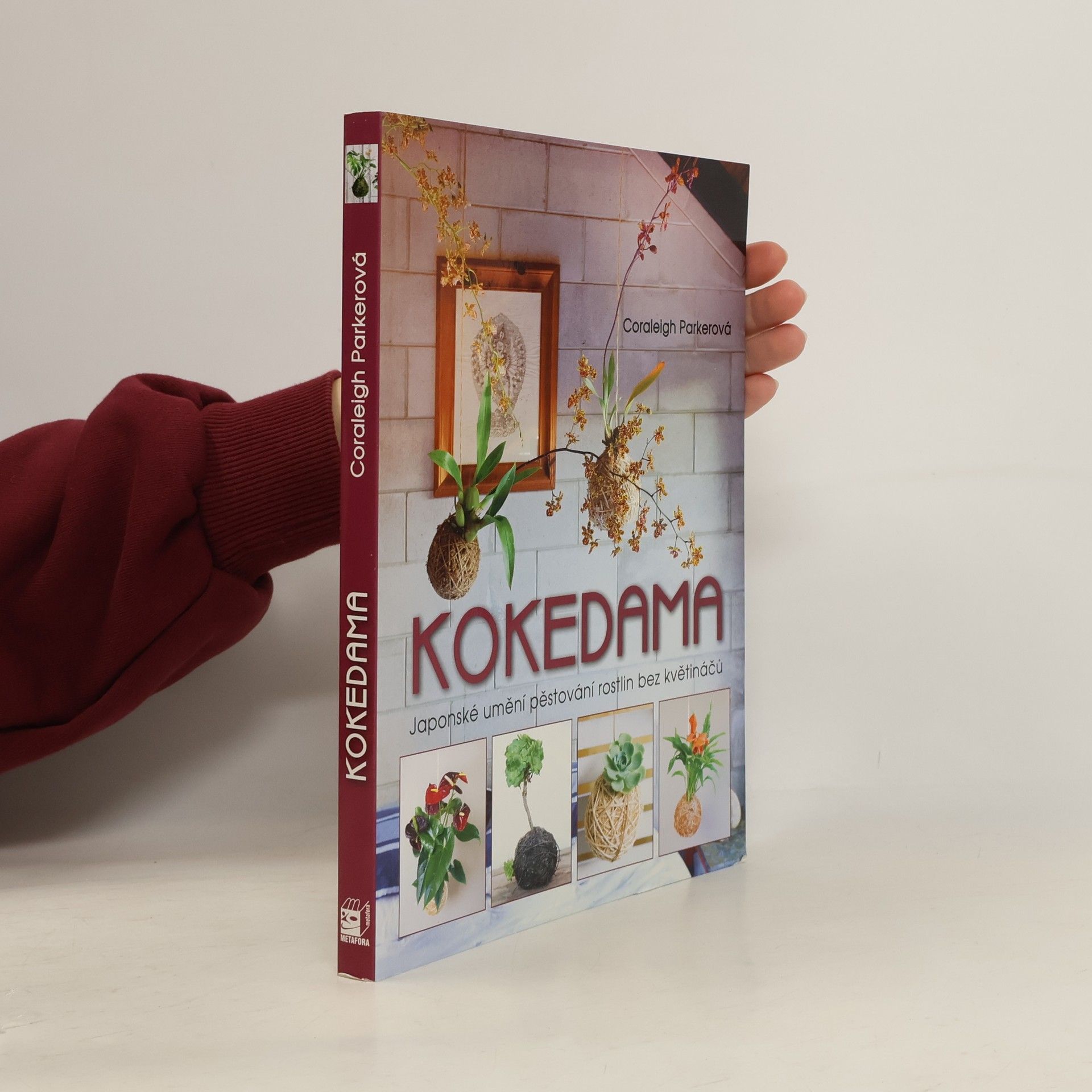 Coraleigh Parker Kokedama - Japonské umění pěstování rostlin bez květináčů