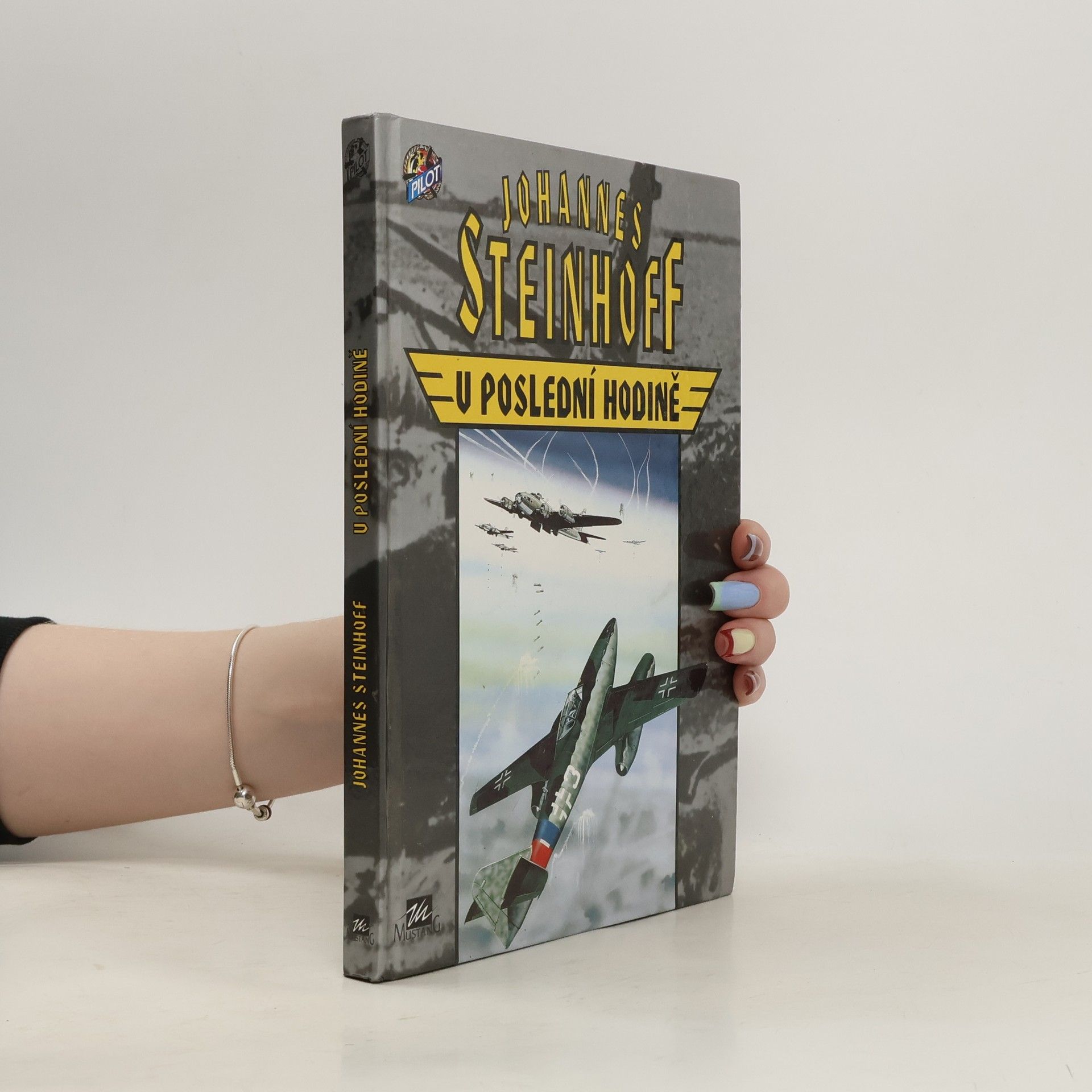 Johannes Steinhoff V poslední hodině