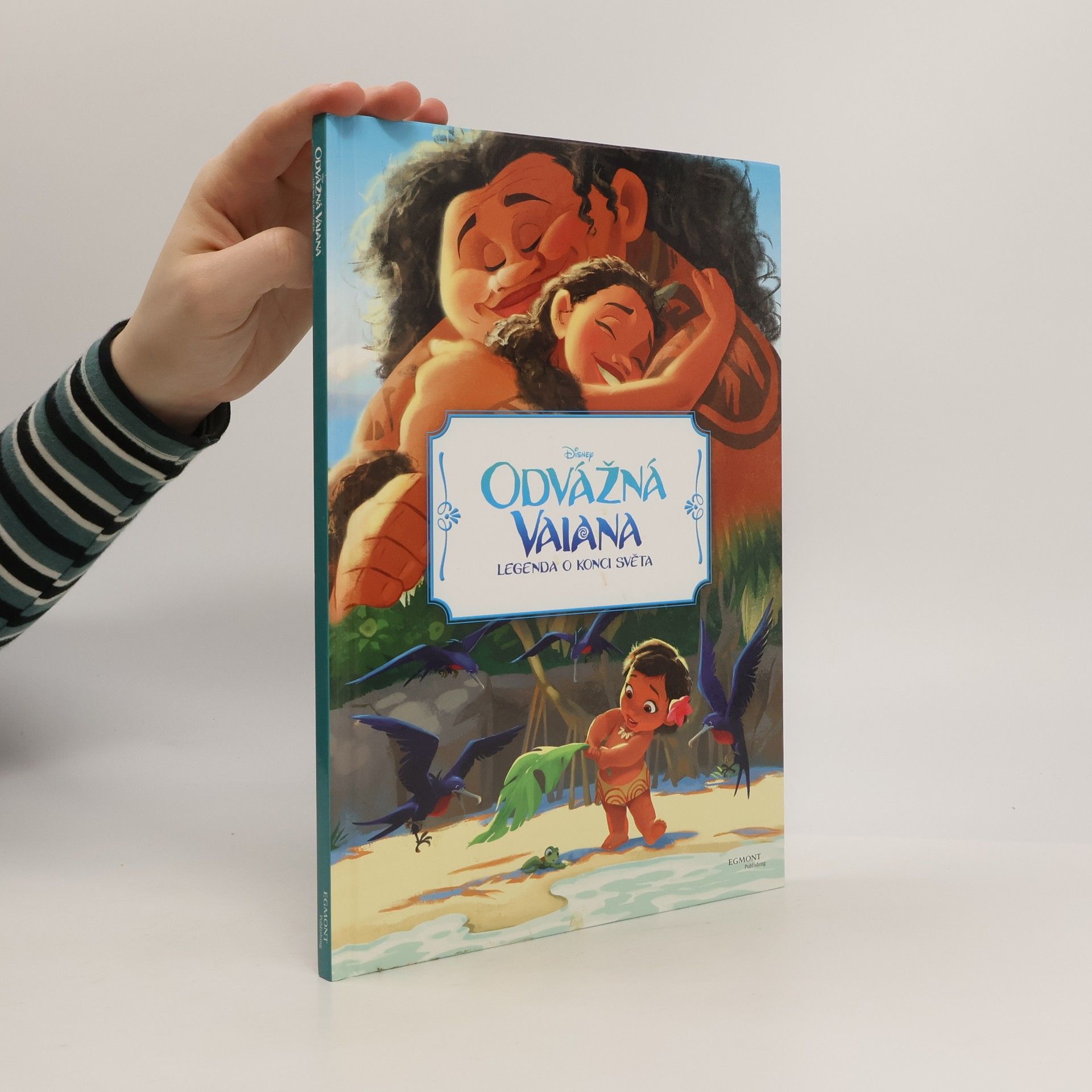 Kolektiv autorů Odvážná Vaiana: Legenda o konci světa - filmový příběh