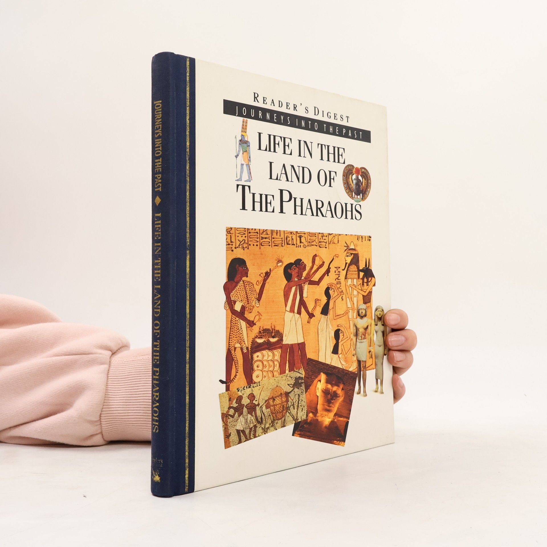 Tim Healey Life in the Land of the Pharaohs