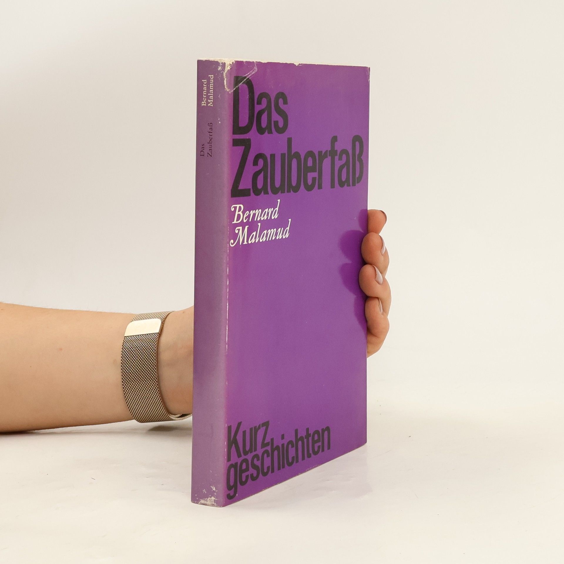 Bernard Malamud Das Zauberfass