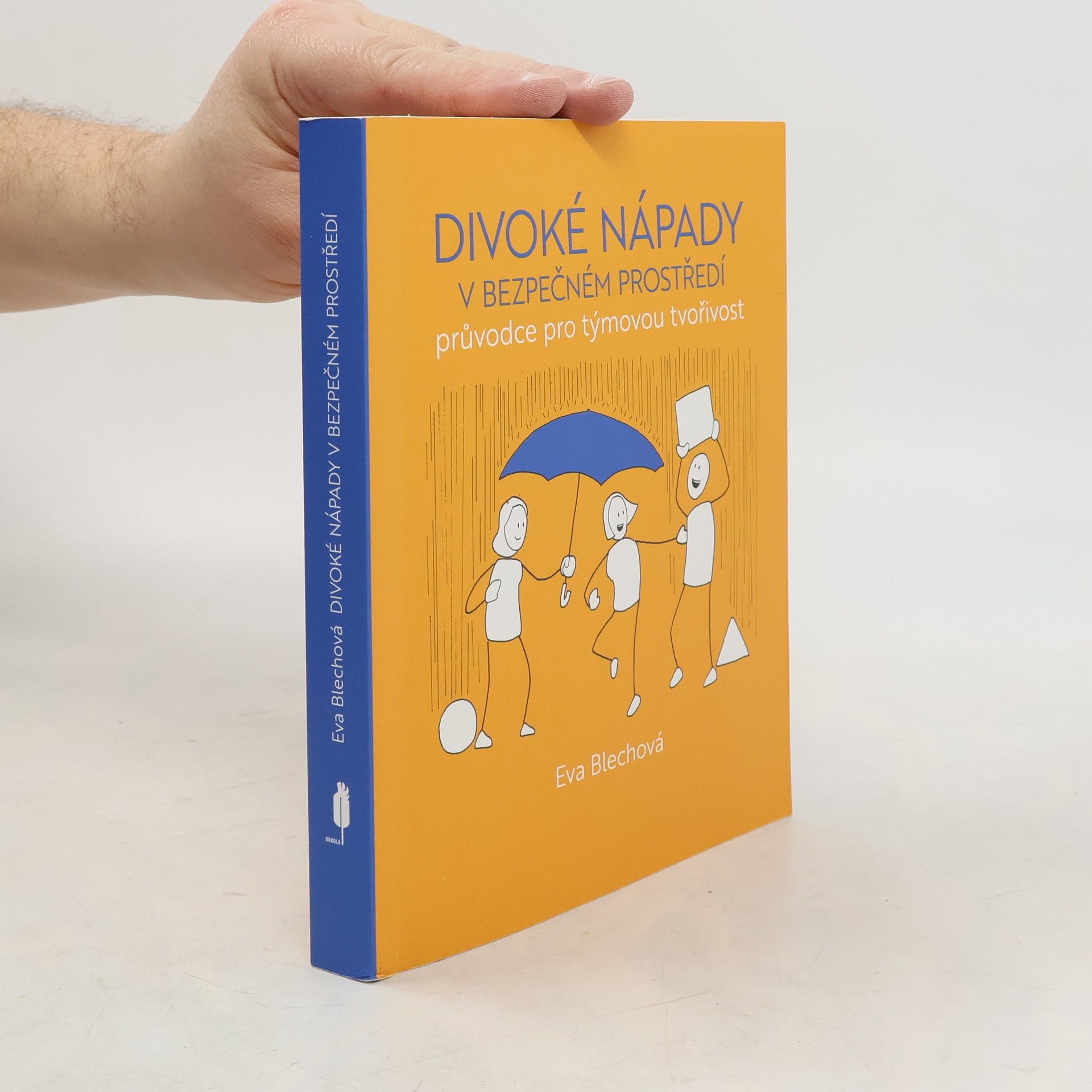 Eva Blechová Divoké nápady v bezpečném prostředí