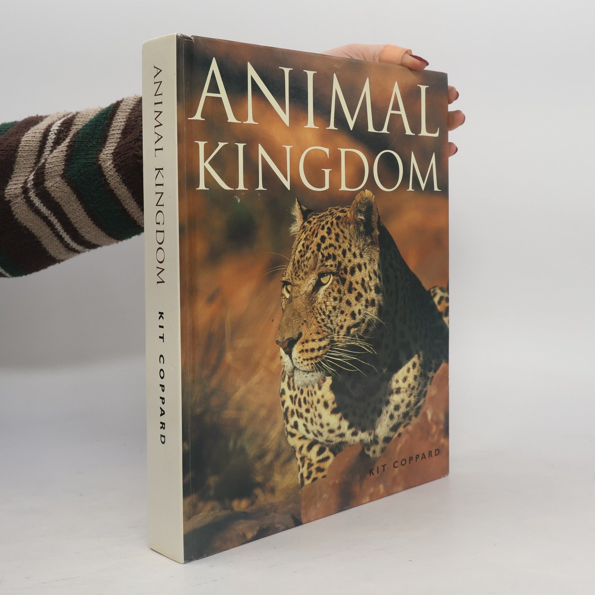 Kit Coppard Animal Kingdom