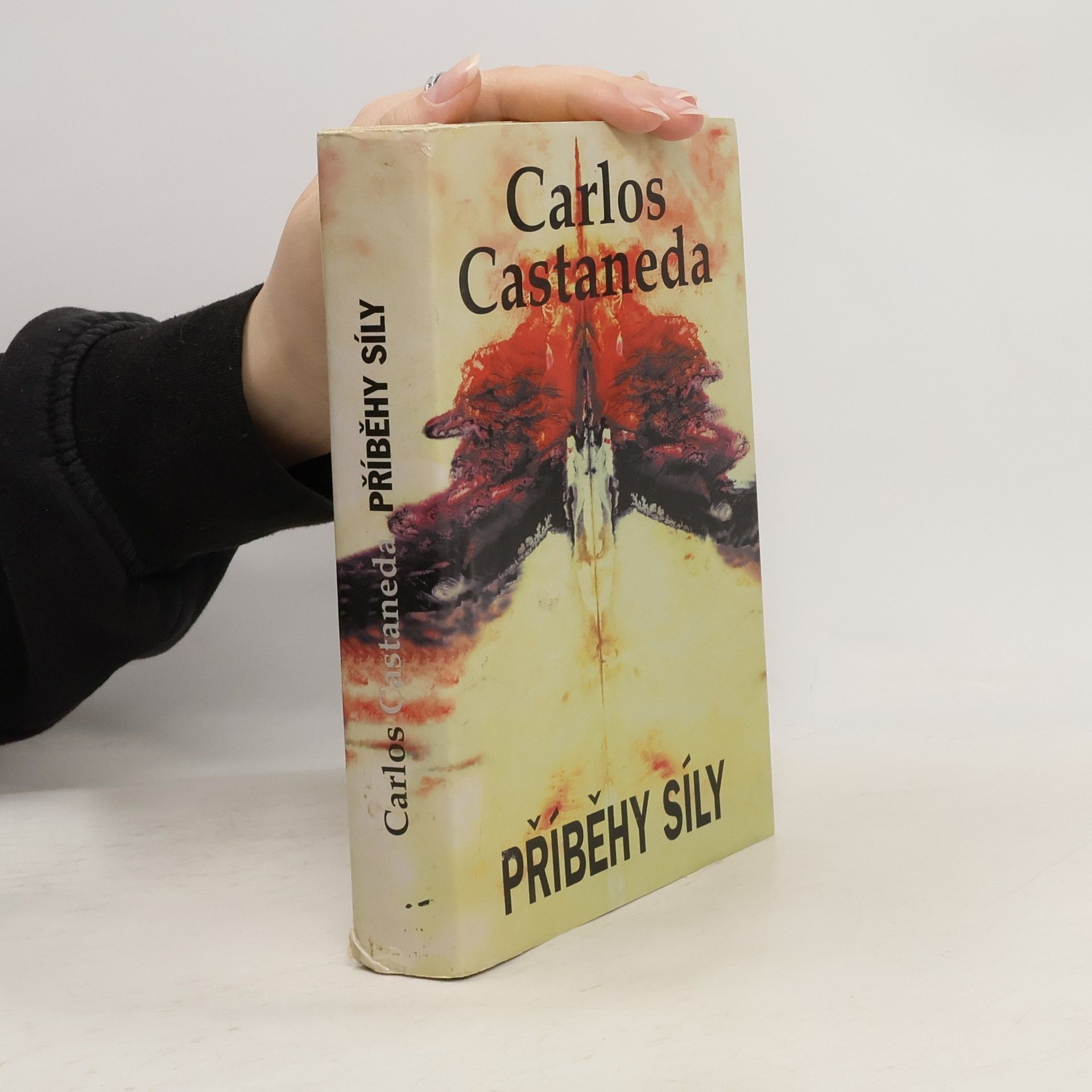 Carlos Castaneda Příběhy síly