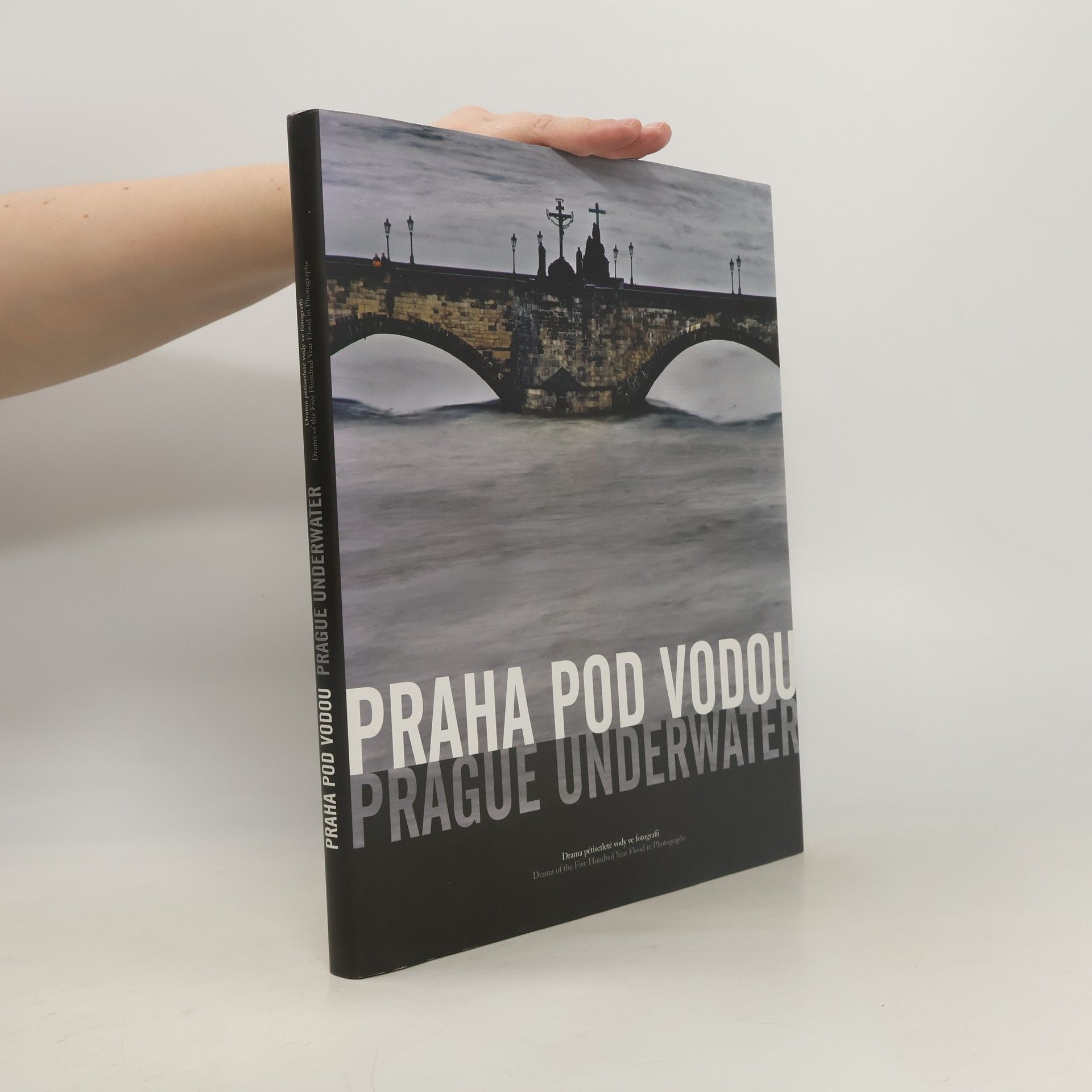 Daniela Mrázková Praha pod vodou: Drama pětisetleté vody ve fotografii = Prague underwater: Drama of the five hundred year flood in photographs