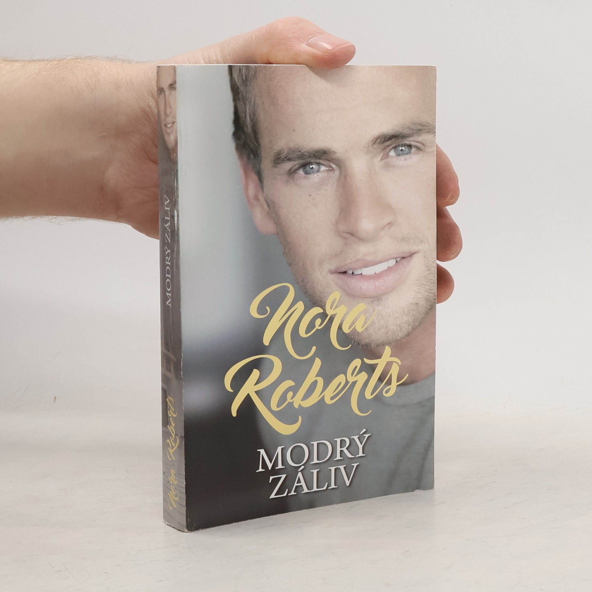 Nora Roberts Modrý záliv