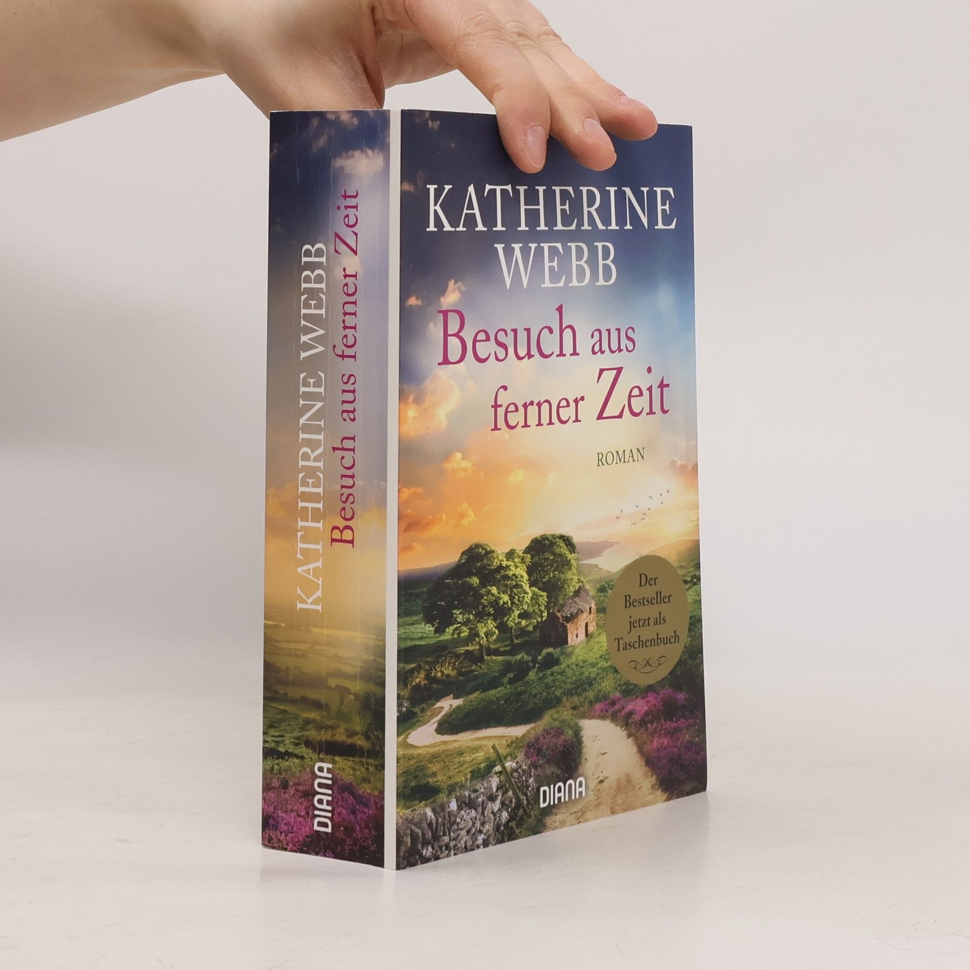 Katherine Webb Besuch aus ferner Zeit