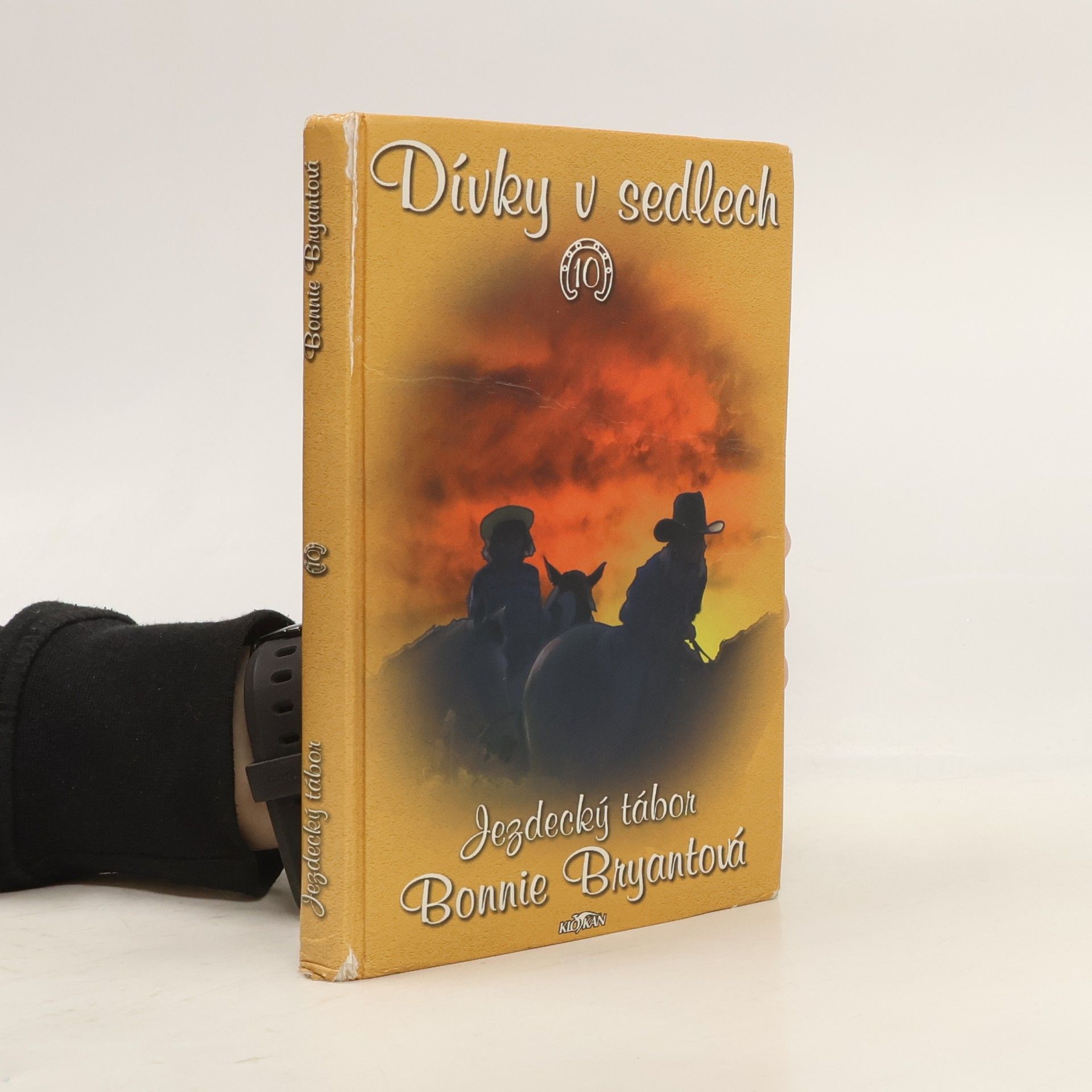 Bonnie Bryant Dívky v sedlech. 10, Jezdecký tábor