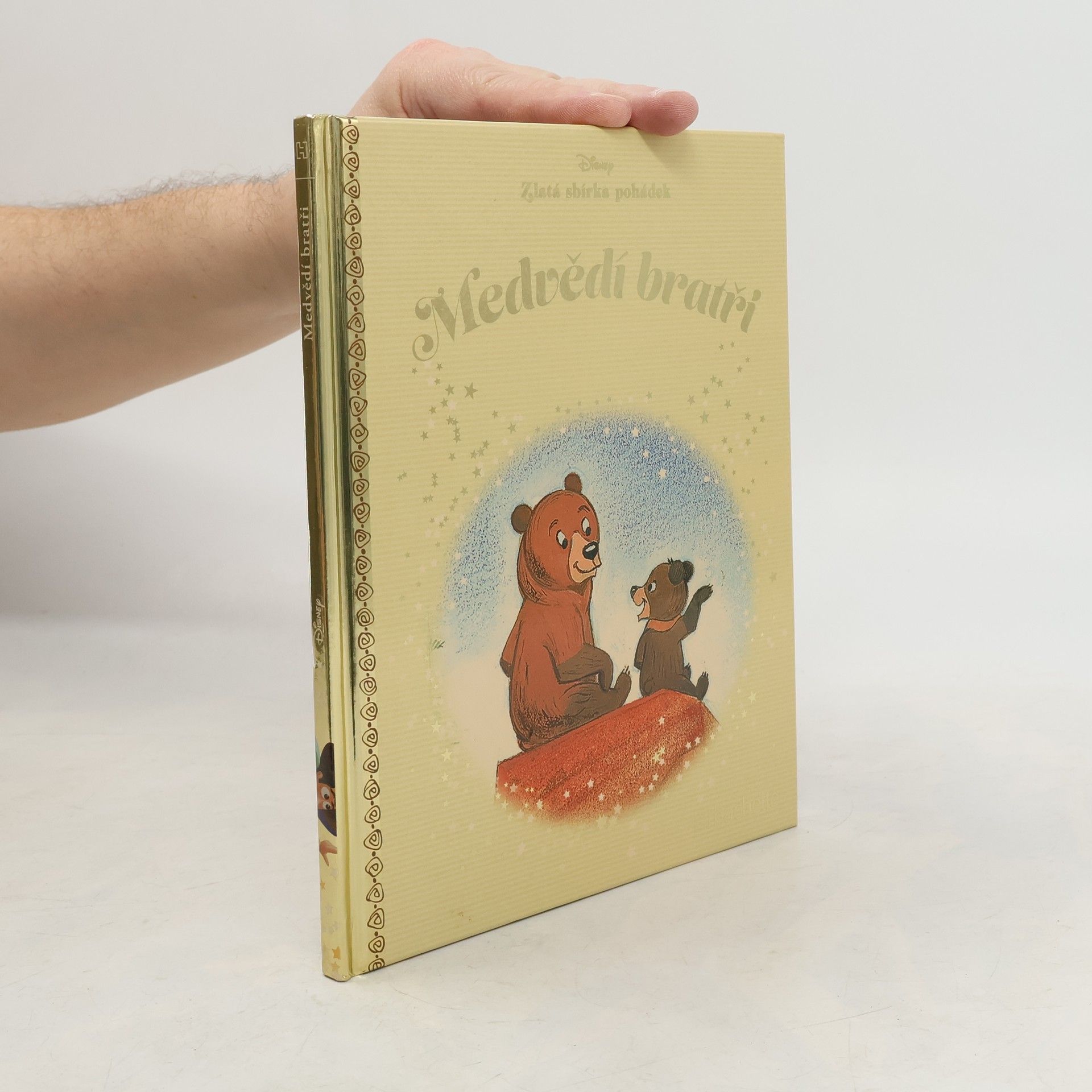 Collectif d'auteurs Medvědí bratři