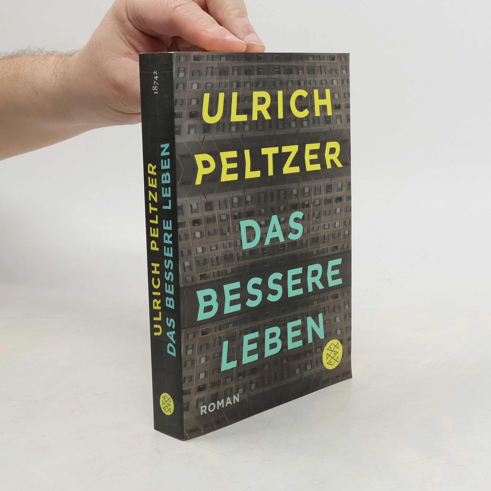 Ulrich Peltzer Das bessere Leben