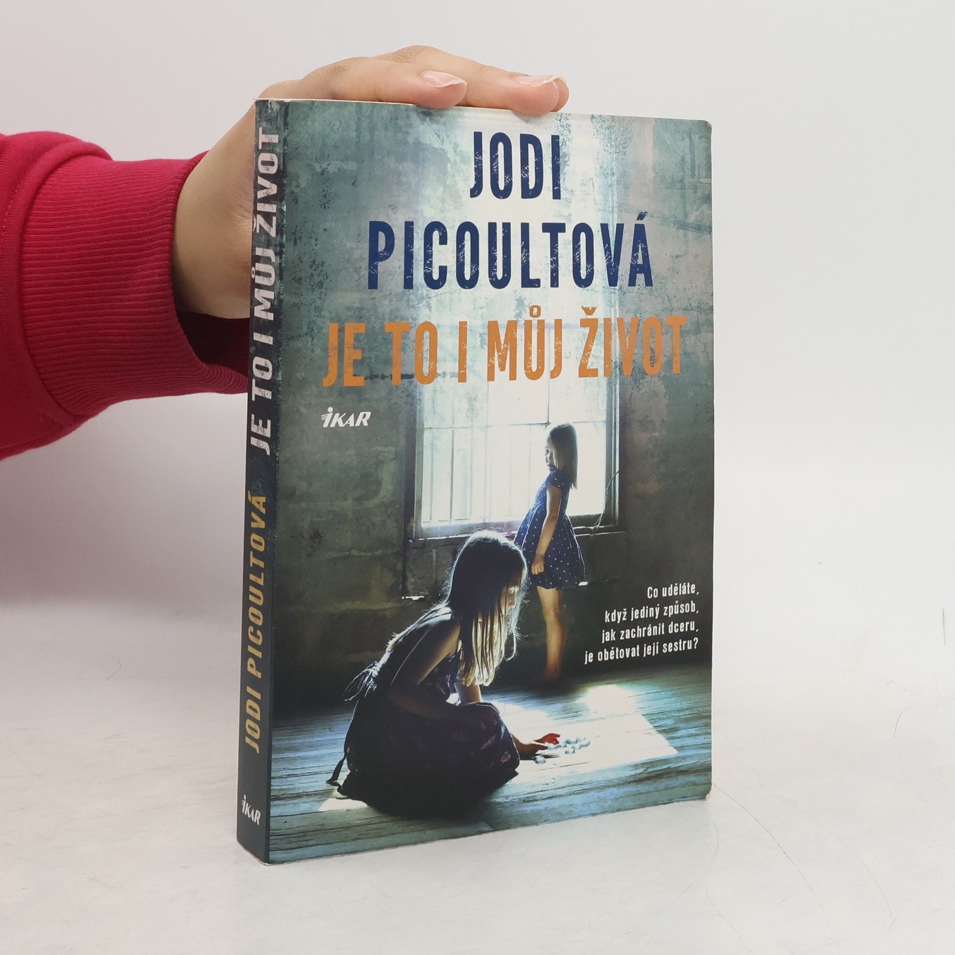 Jodi Picoult Je to i můj život