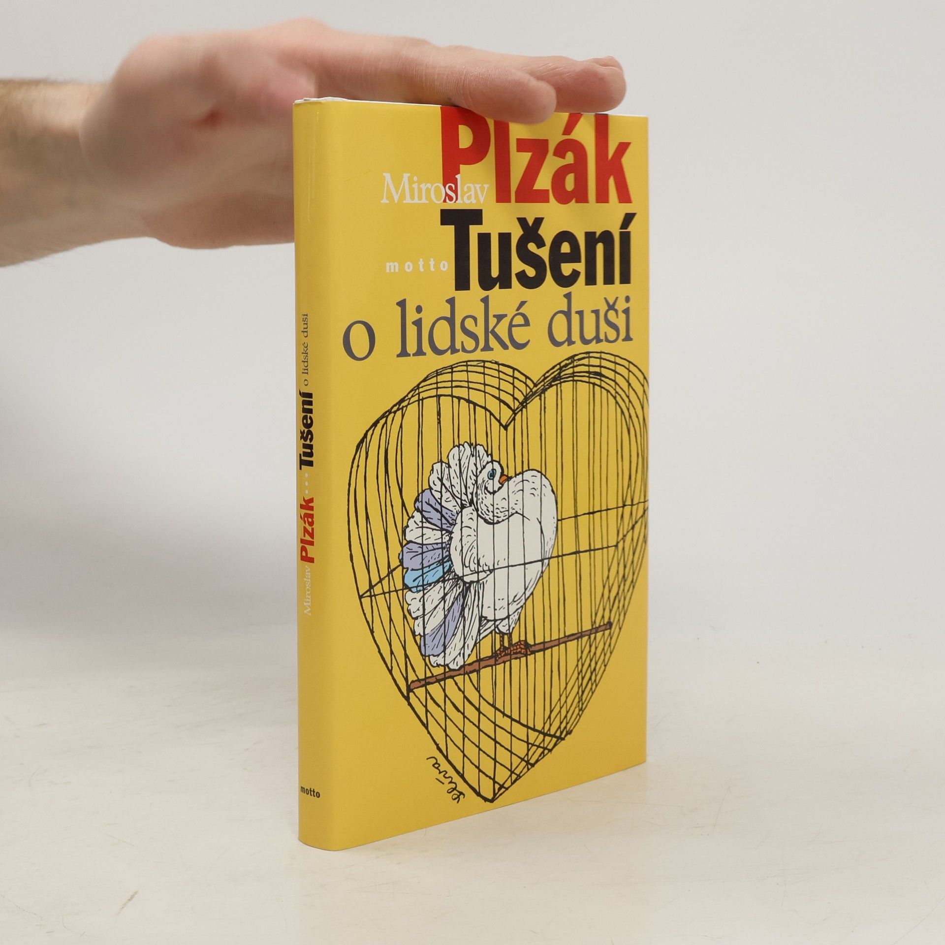 Miroslav Plzák Tušení o lidské duši