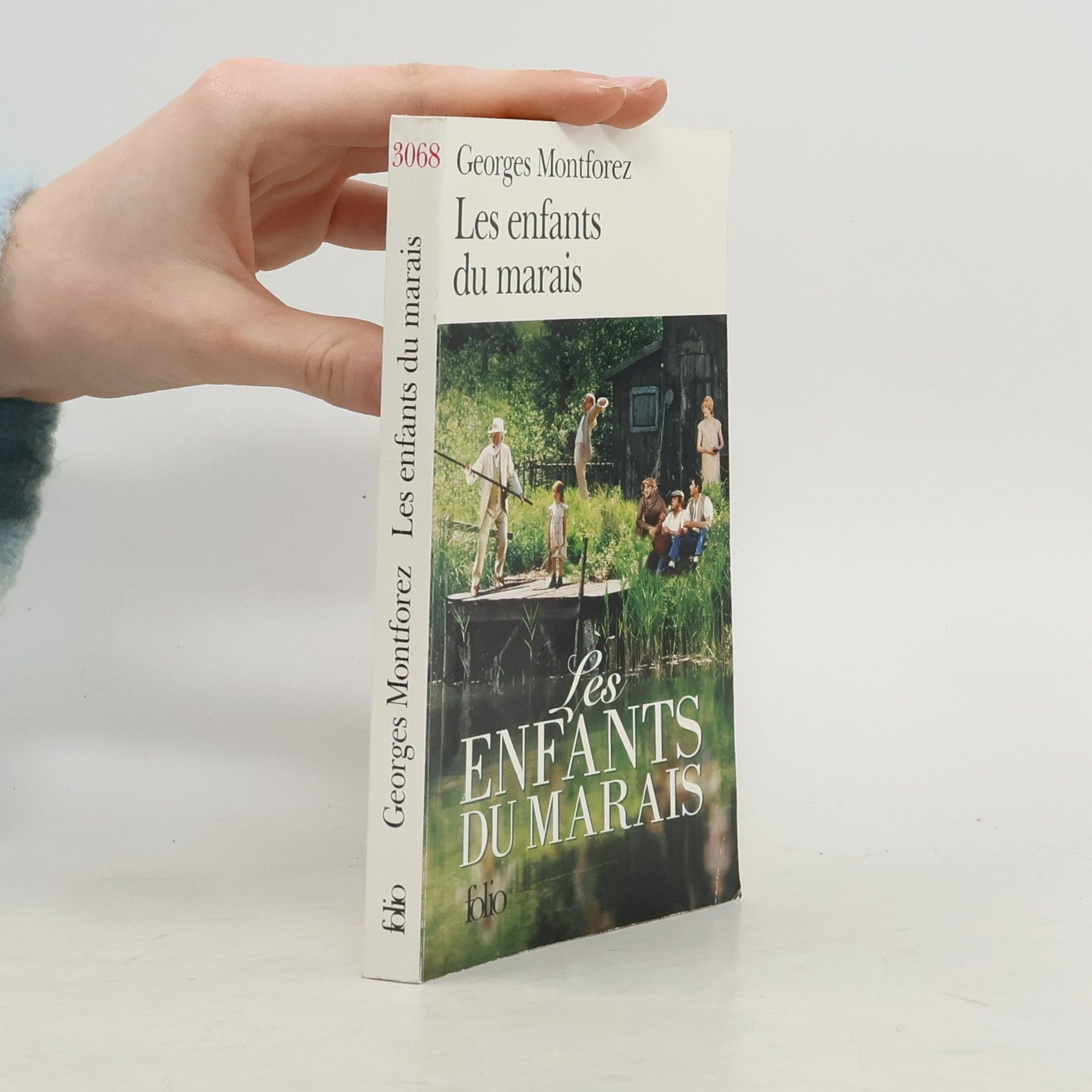 Folio: Les enfants du marais