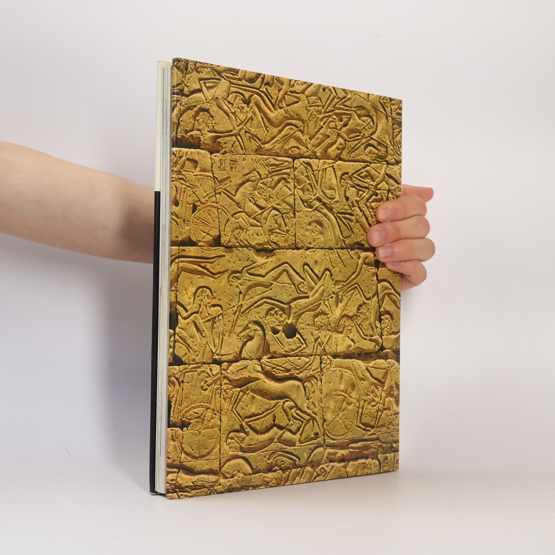 Collectif d'auteurs Milestones of History. Ancient Empires